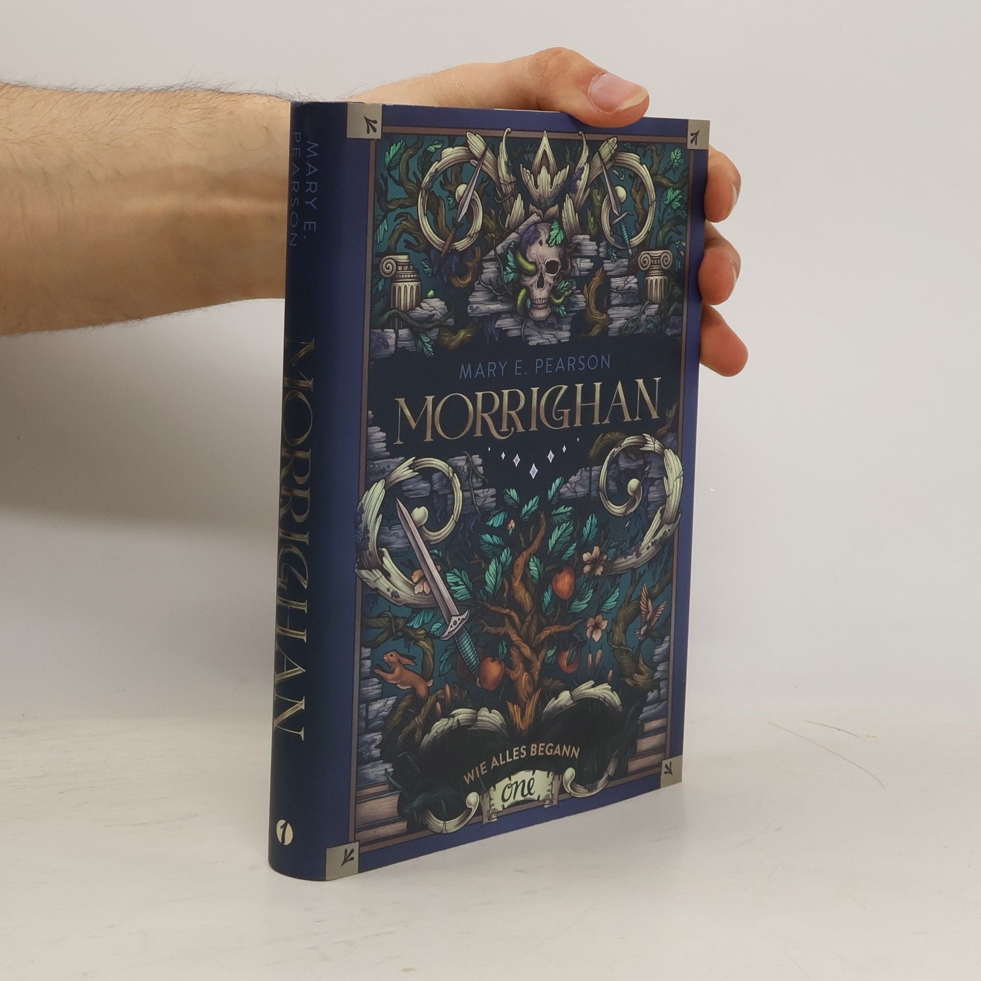 Mary E. Pearson Morrighan - Wie alles begann