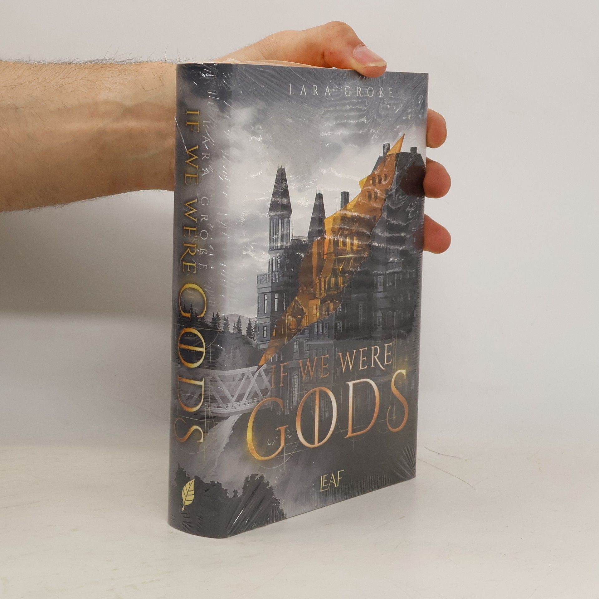 Lara Große If We Were Gods