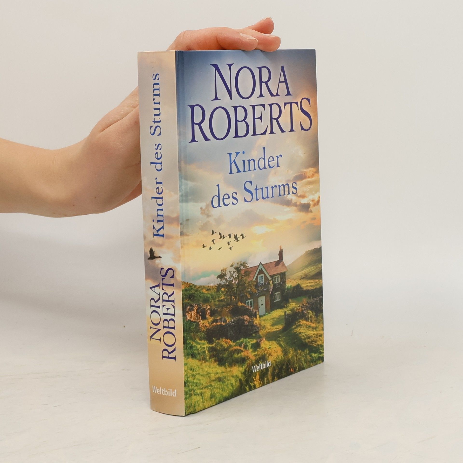 Nora Roberts Insel des Sturms
