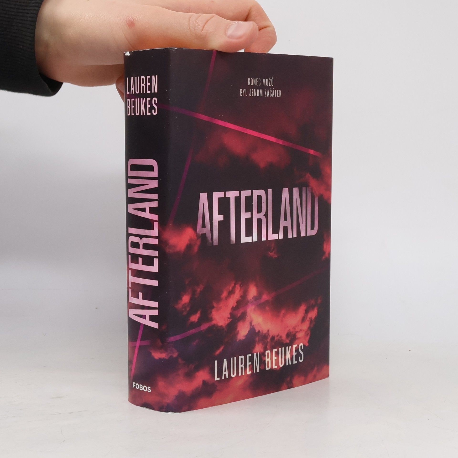 Lauren Beukes Afterland