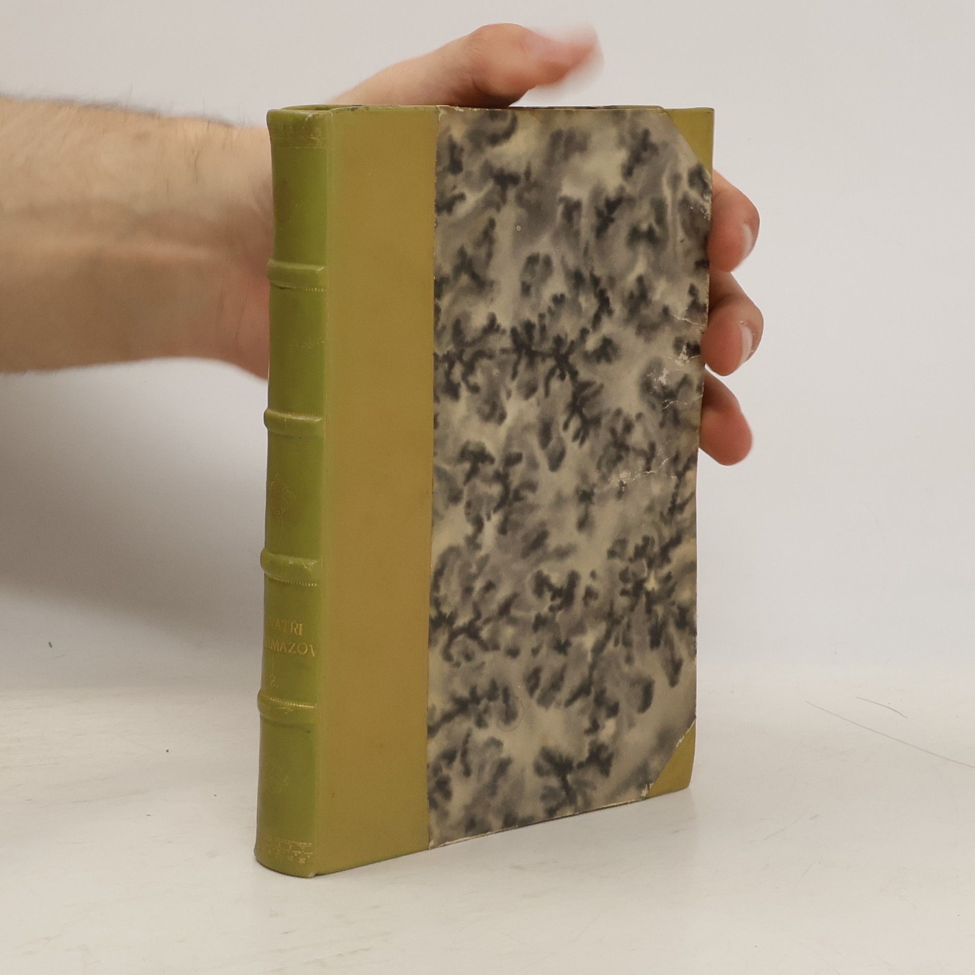 Fyodor Dostoyevsky Bratři Karamazovi II.