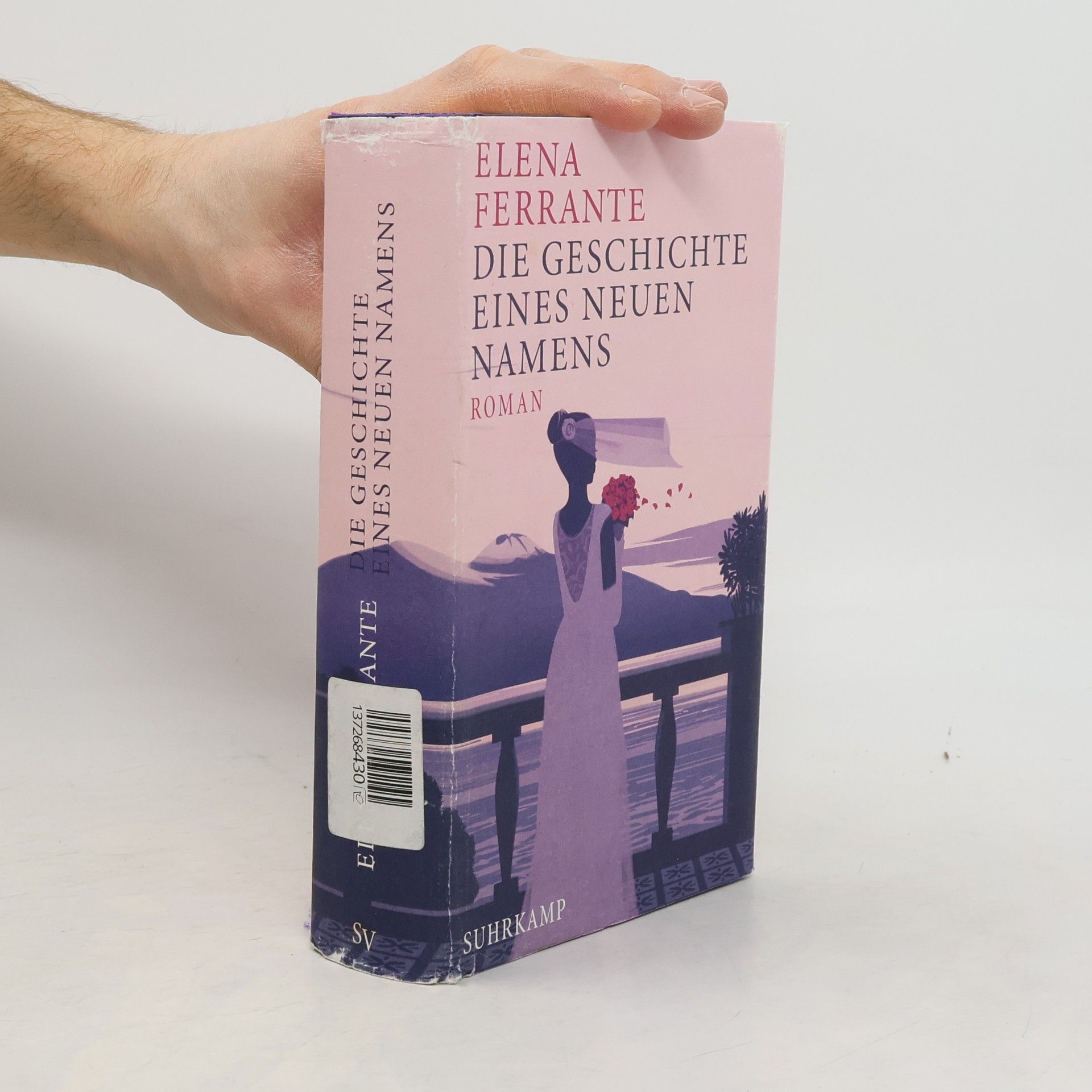 Elena Ferrante Die Geschichte eines neuen Namens: Jugendjahre