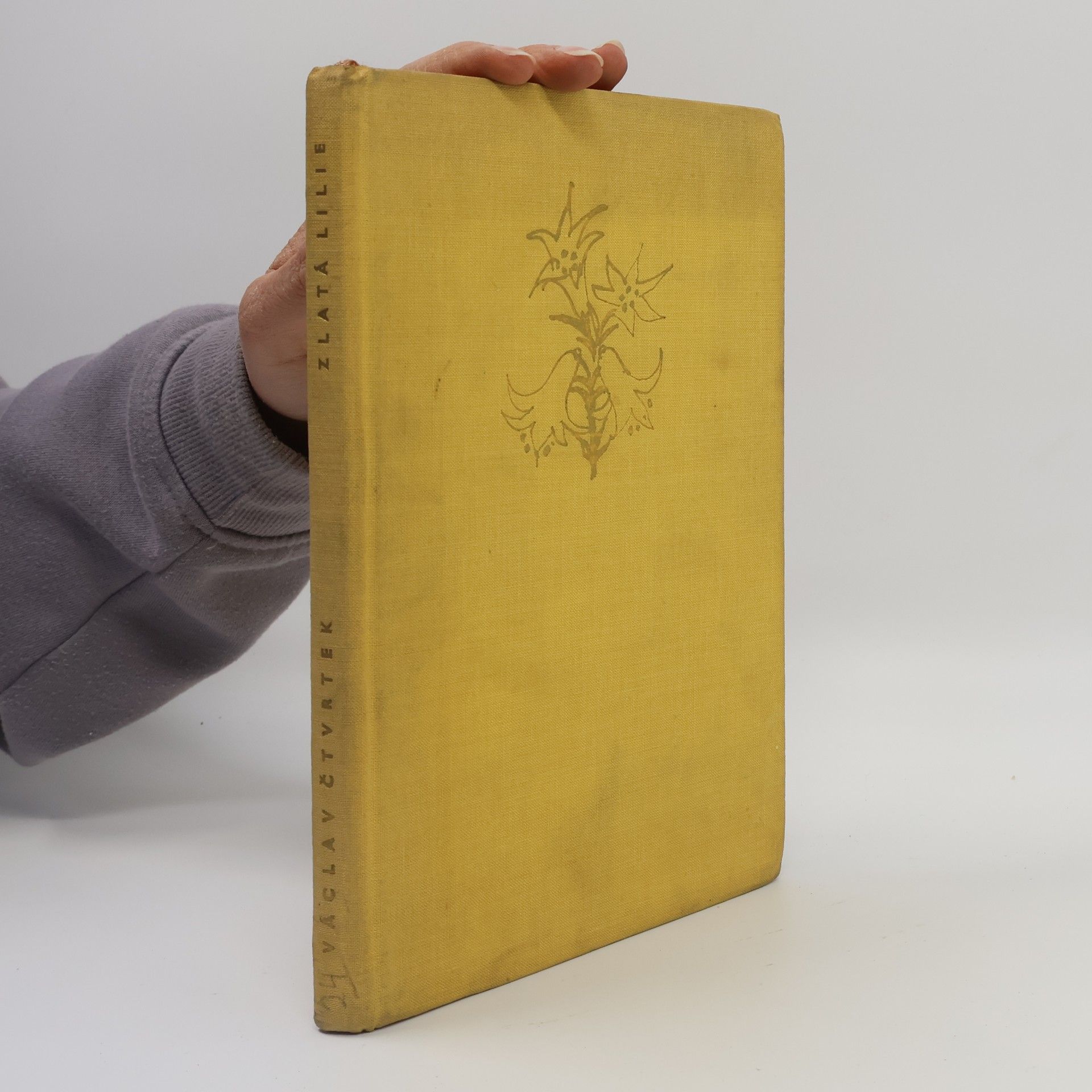 Václav Čtvrtek Zlatá lilie