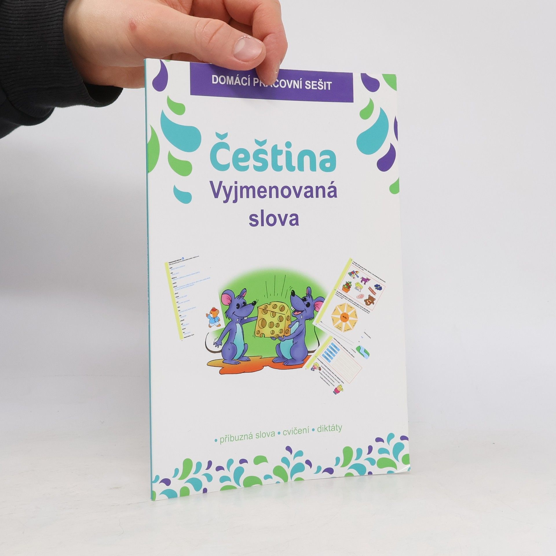 Michaela Beck Čeština. Vyjmenovaná slova. Domácí pracovní sešit