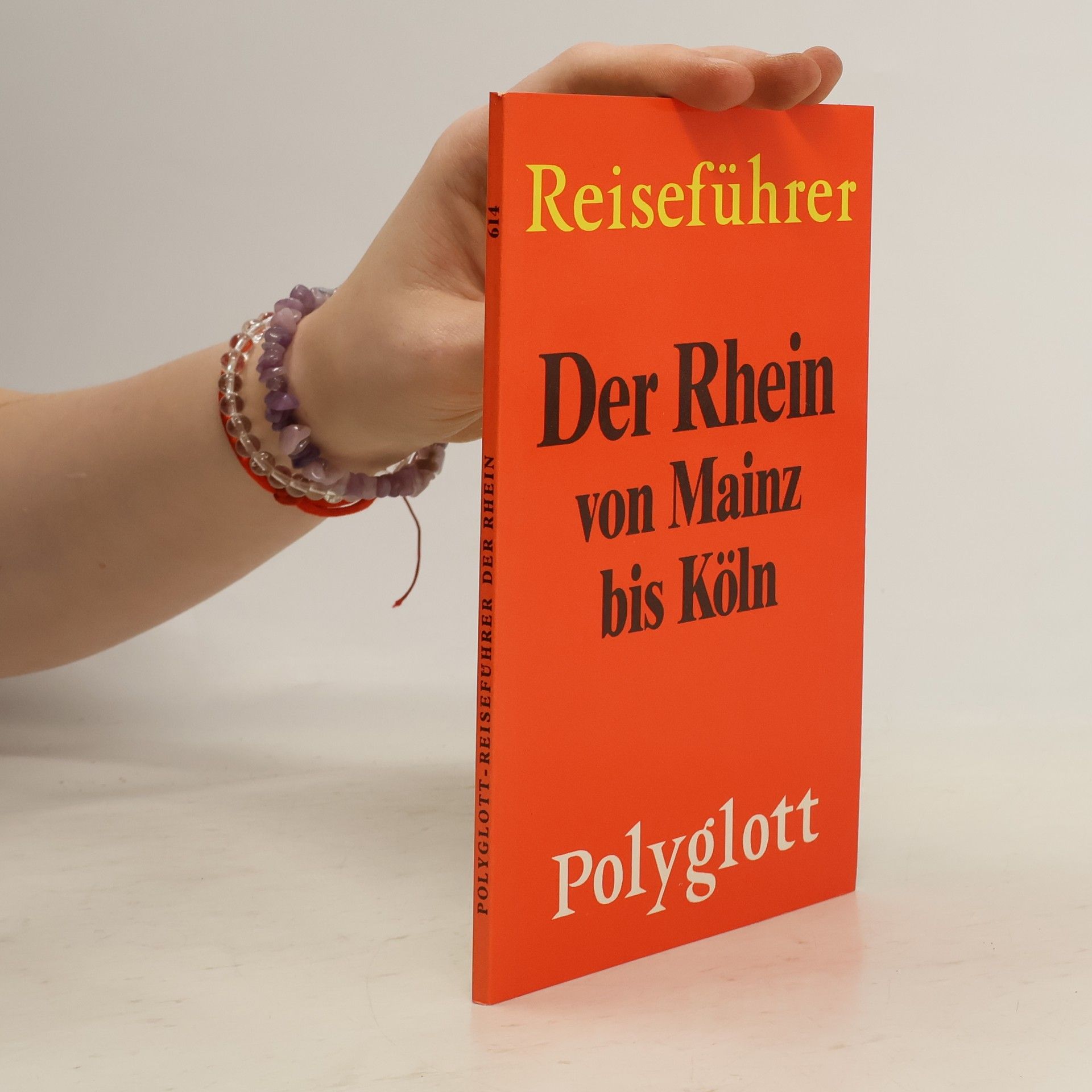 Erdmann Werner Böhme Der Rhein von Mainz bis Emmerich
