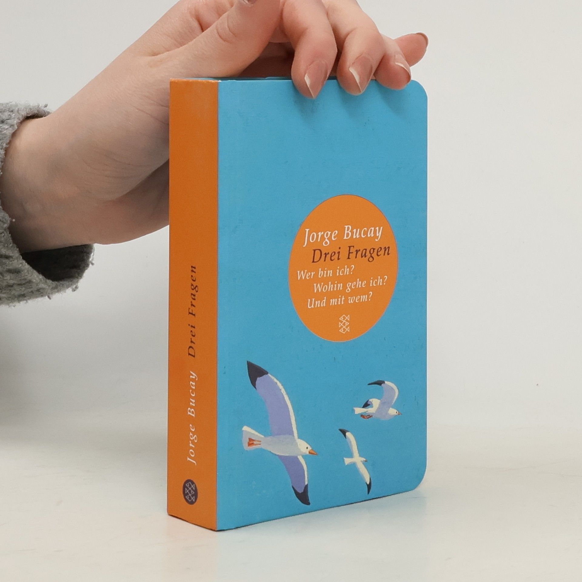 Jorge Bucay Drei Fragen