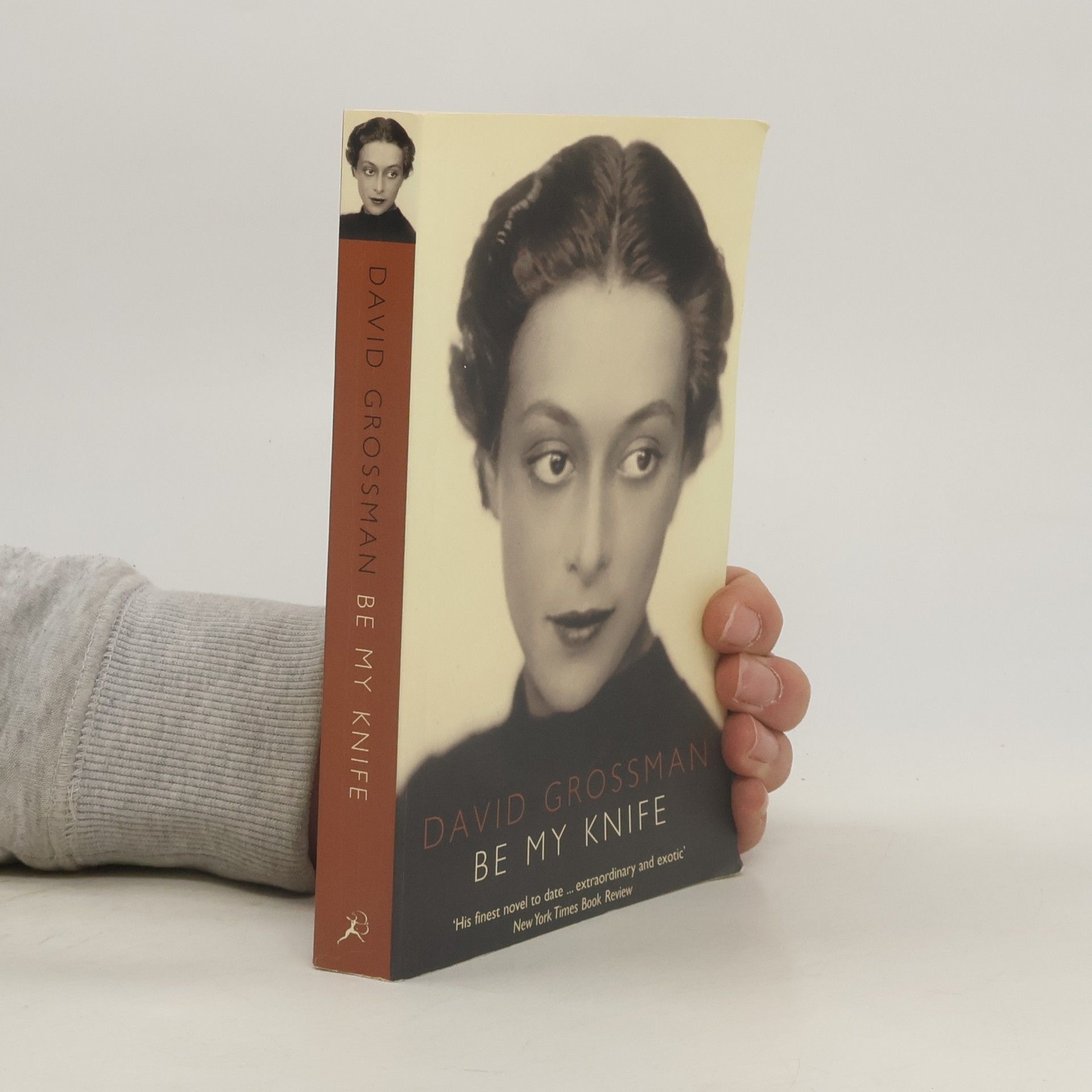 David Grossman Be My Knife