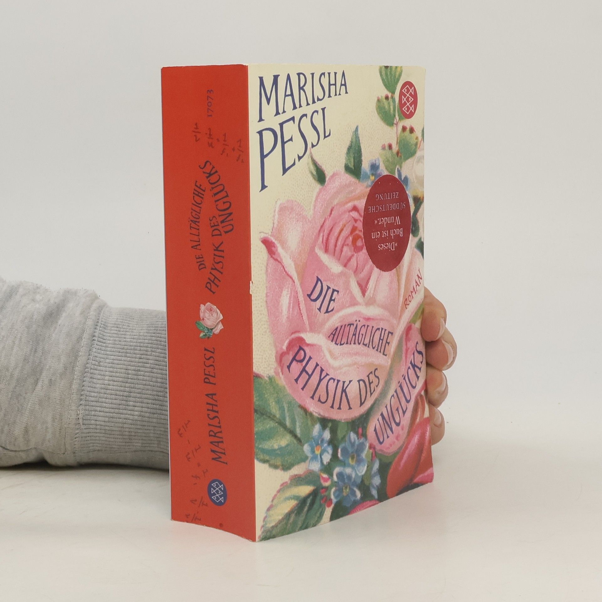 Marisha Pessl Die alltägliche Physik des Unglücks