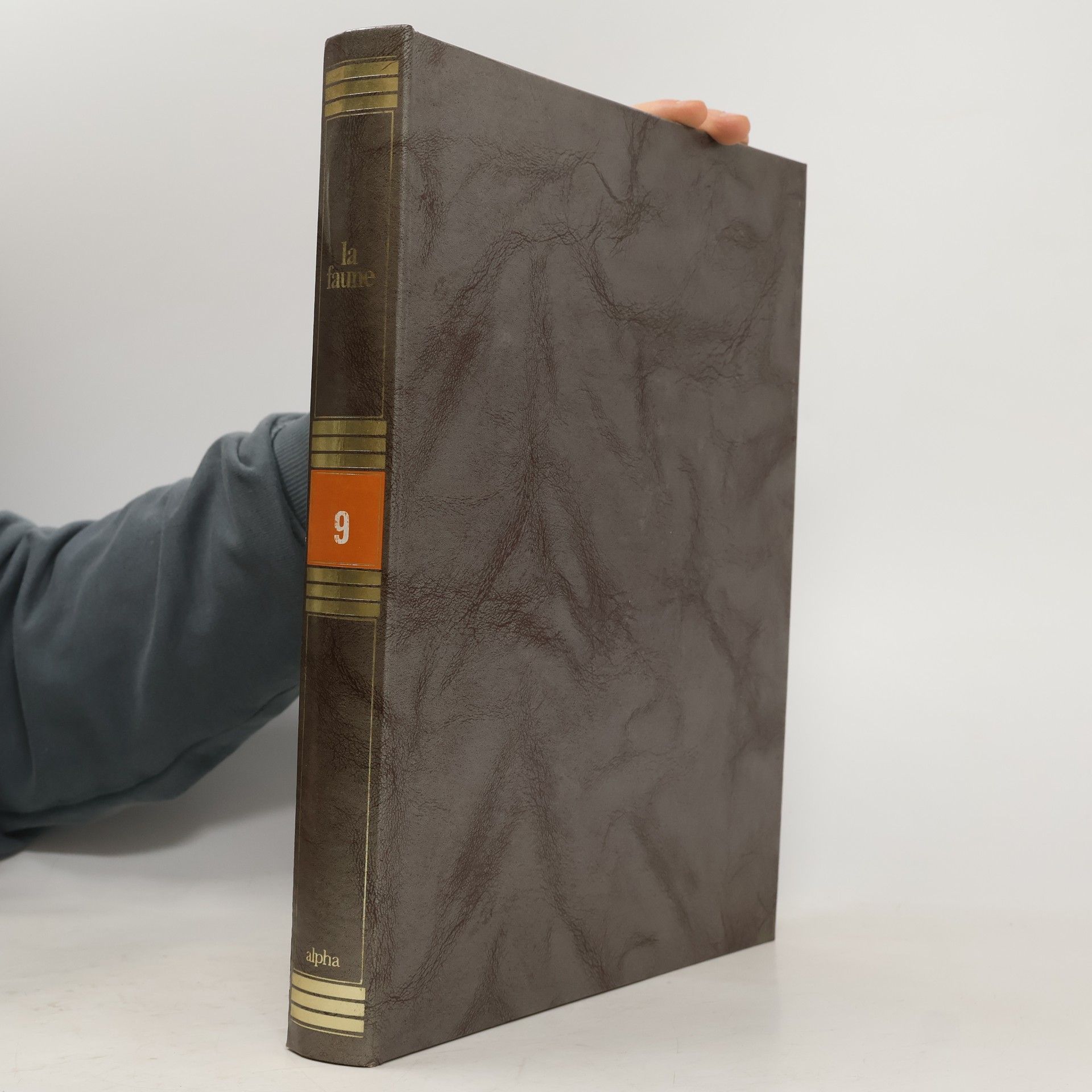 Autorenkollektiv La faune 9