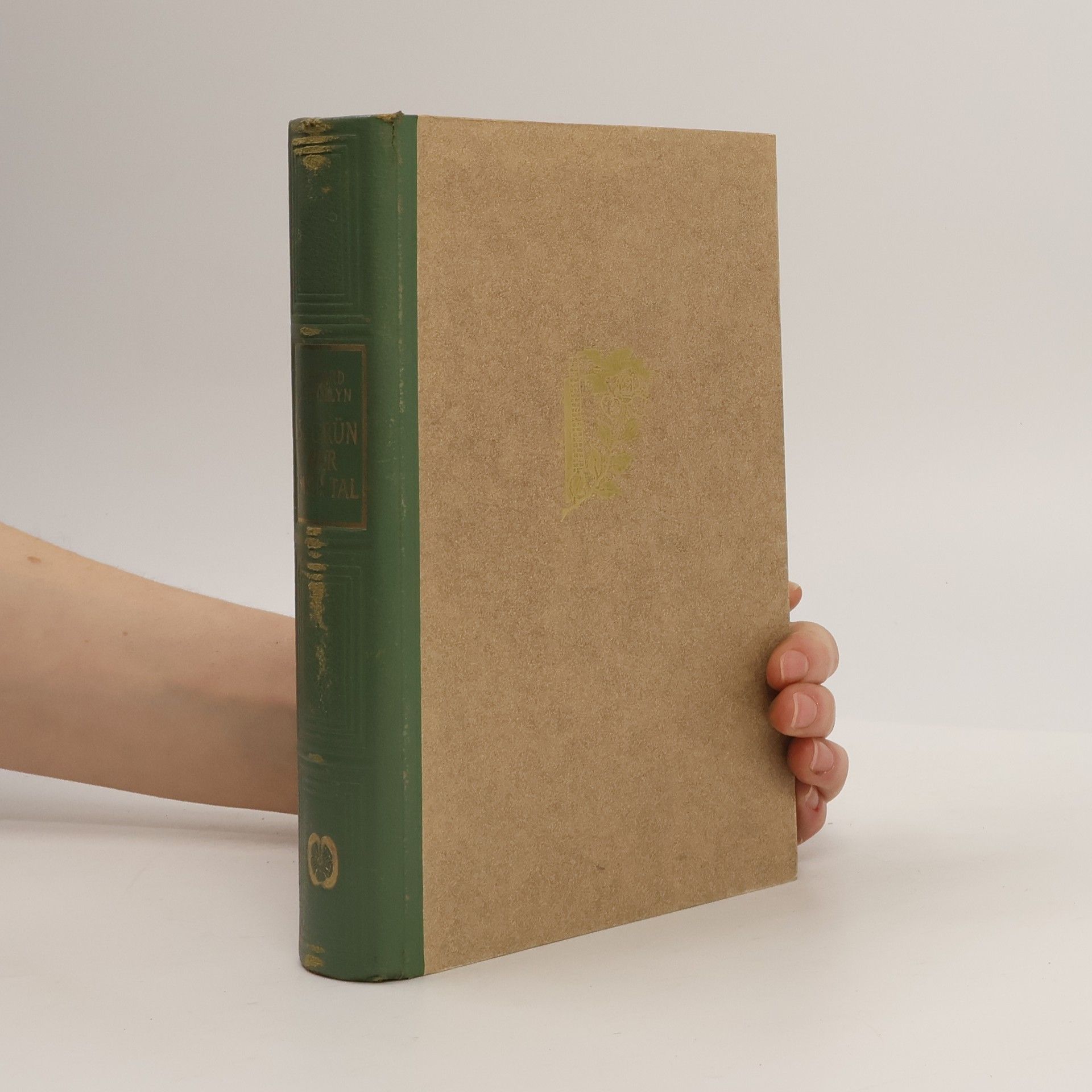 Richard Llewellyn So grün war mein Tal