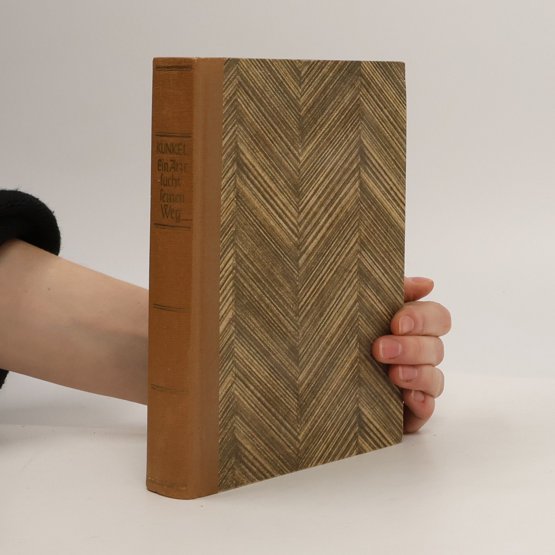 Hans Kinkel Ein Arzt sucht seinen Weg