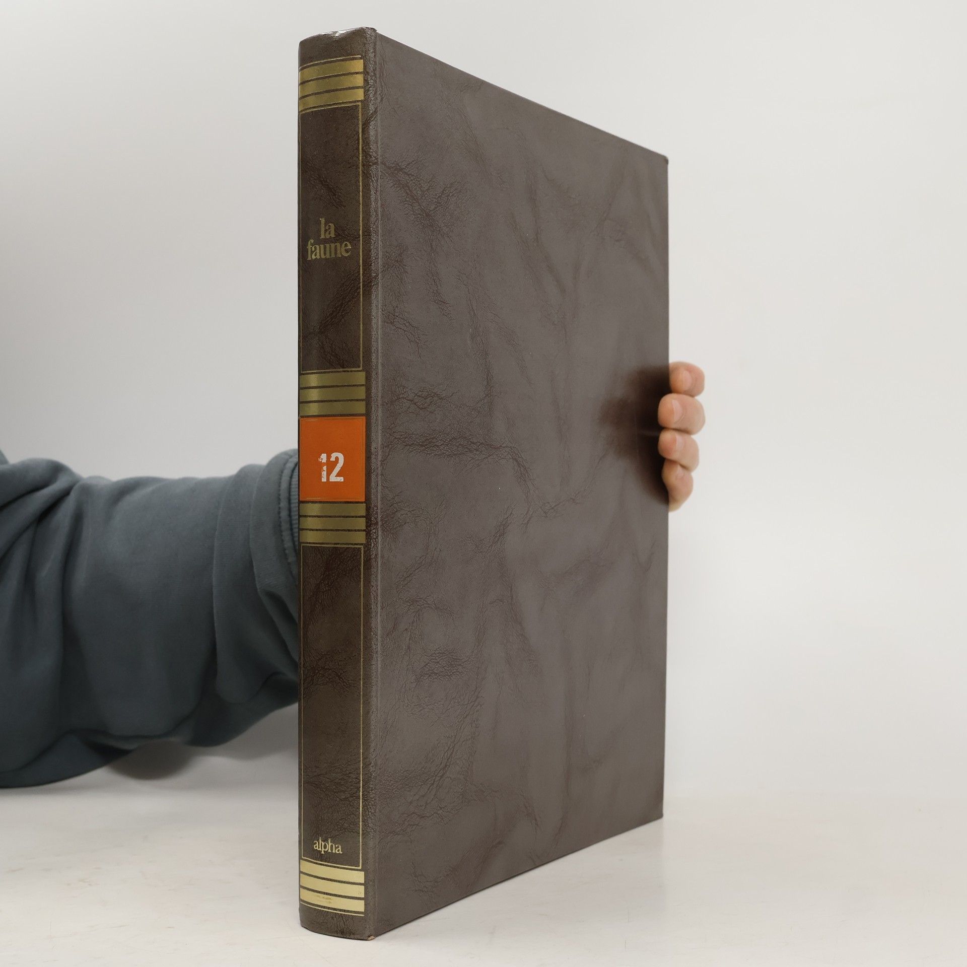 Autorenkollektiv La faune 12