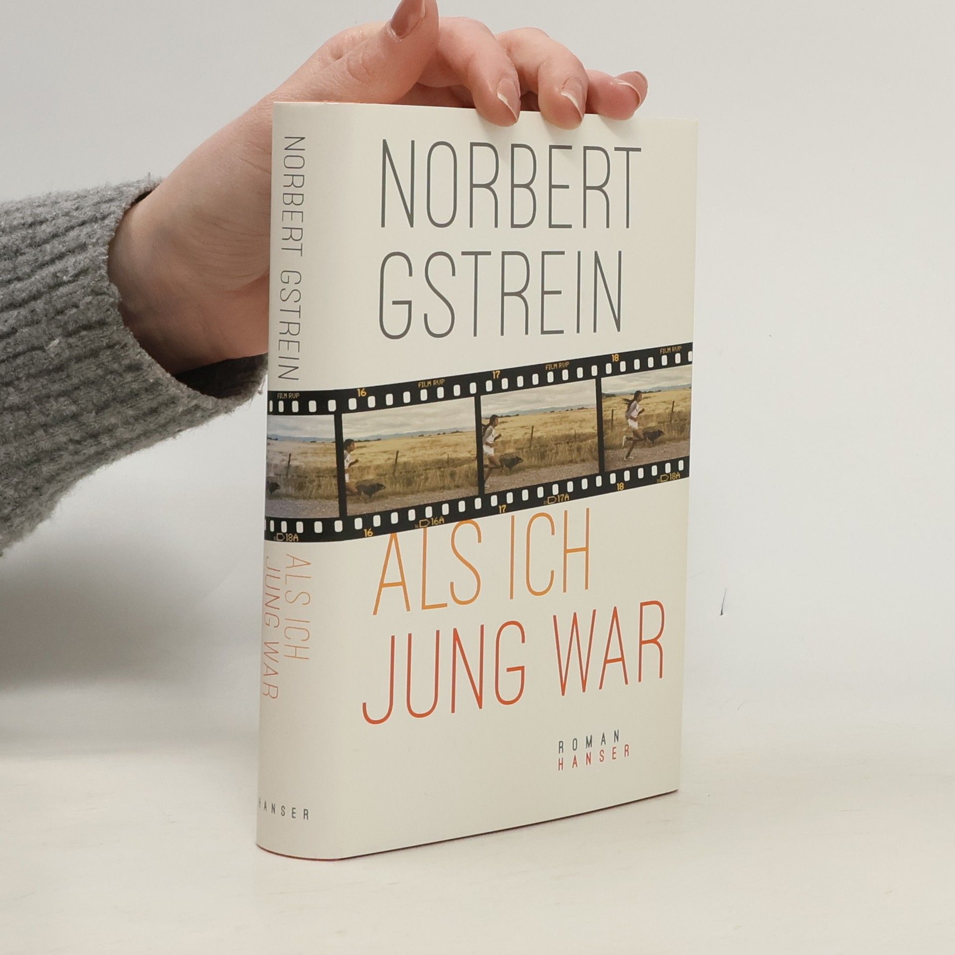 Norbert Gstrein Als ich jung war