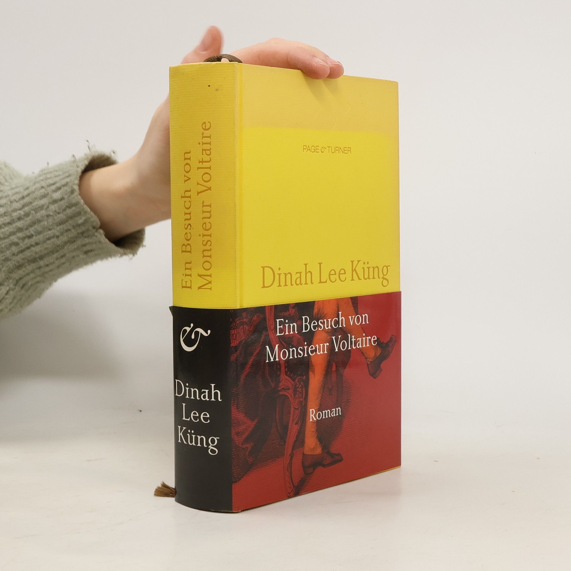 Dinah Lee Küng Ein Besuch von Monsieur Voltaire