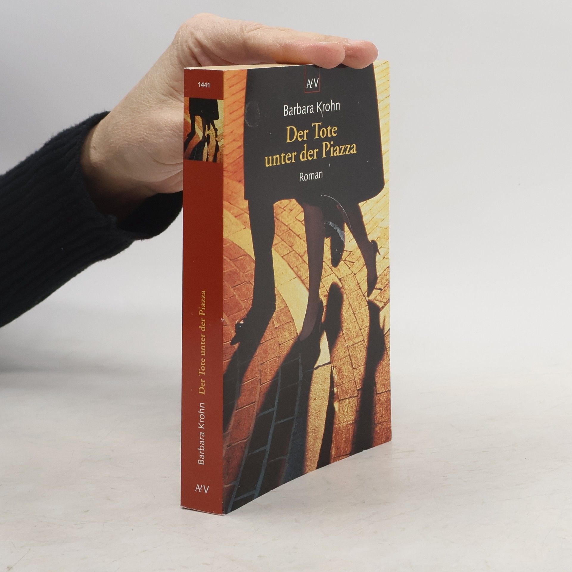 Barbara Krohn Der Tote unter der Piazza
