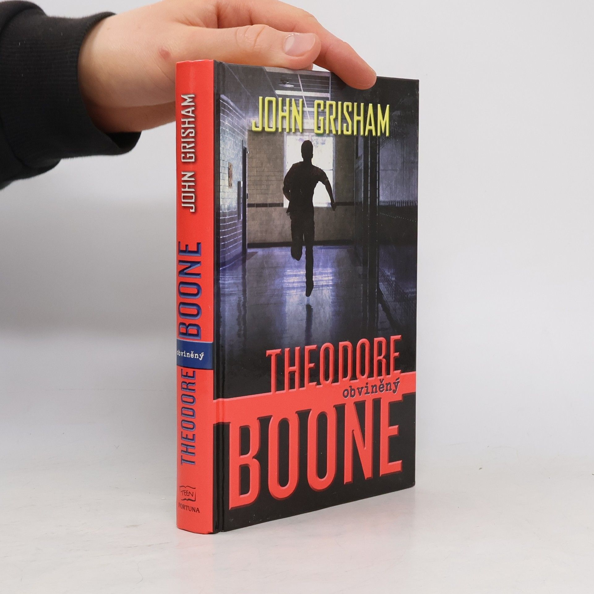 John Grisham Theodore Boone : obviněný