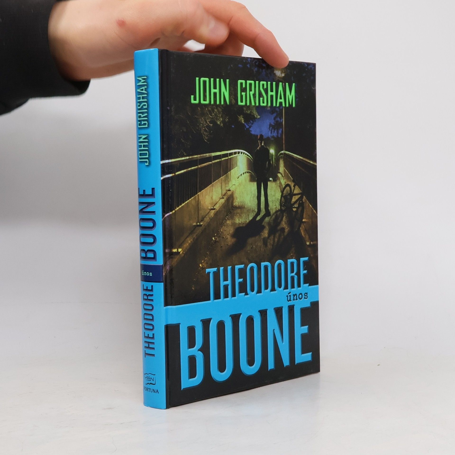 John Grisham Theodore Boone. Únos