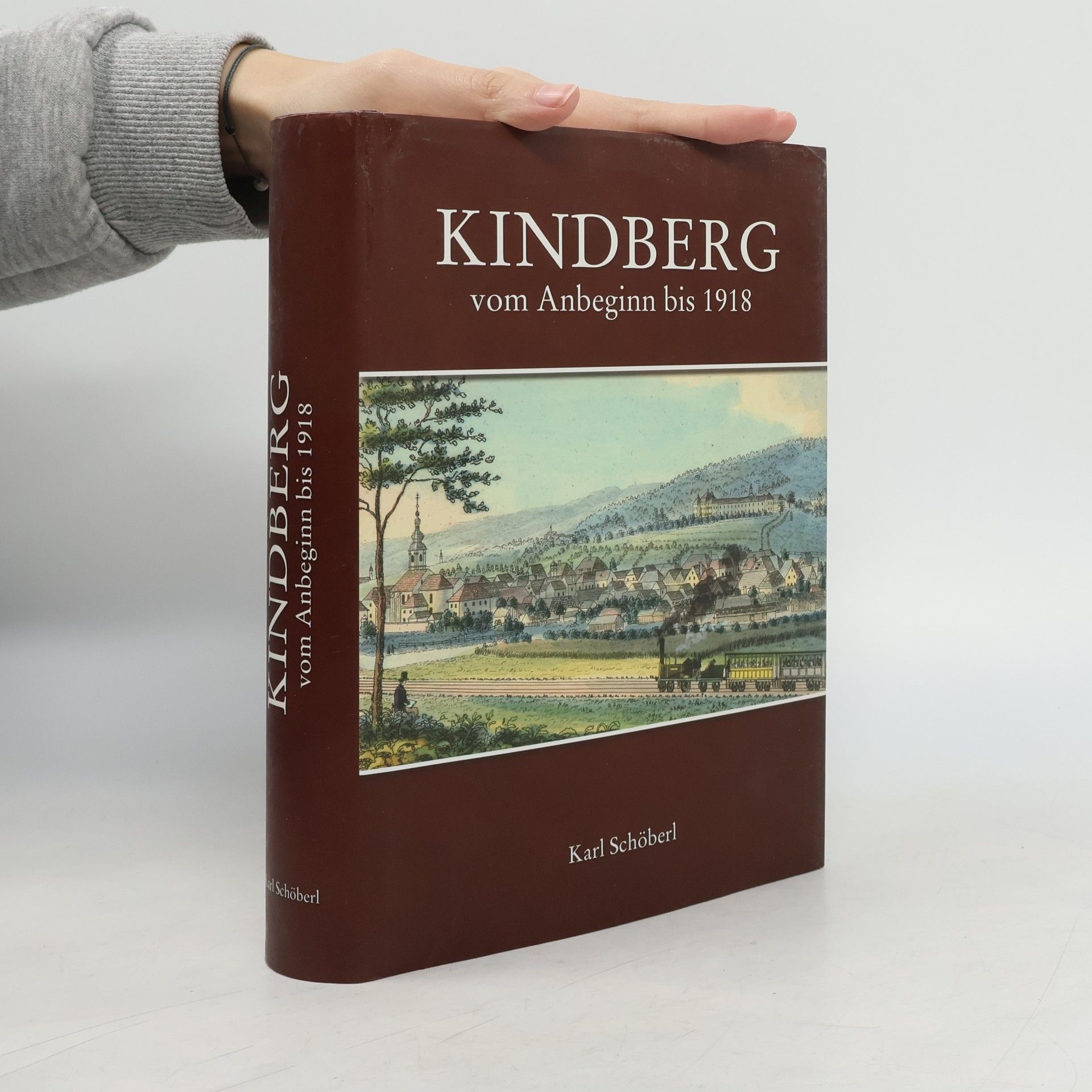 Kolektív autorov Kindberg vom Anbeginn bis 1918