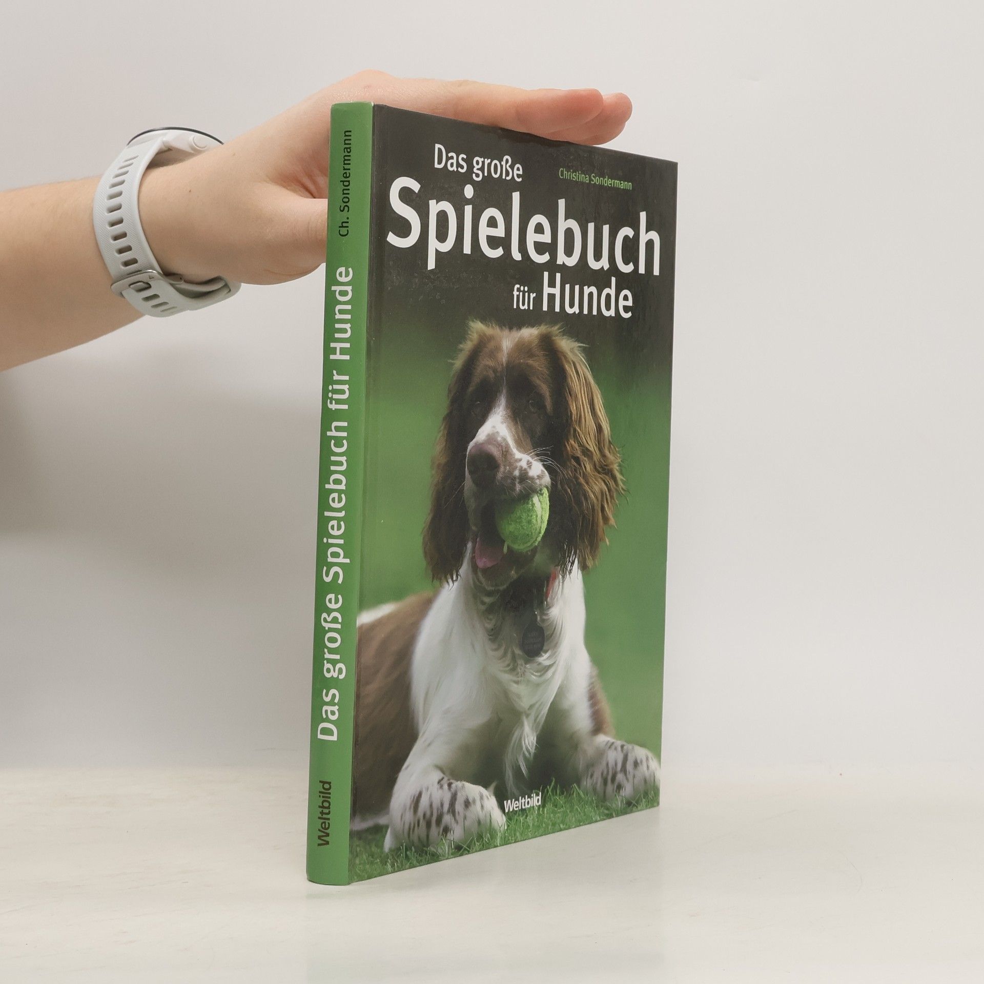 Christina Sondermann Das große Spielebuch für Hunde