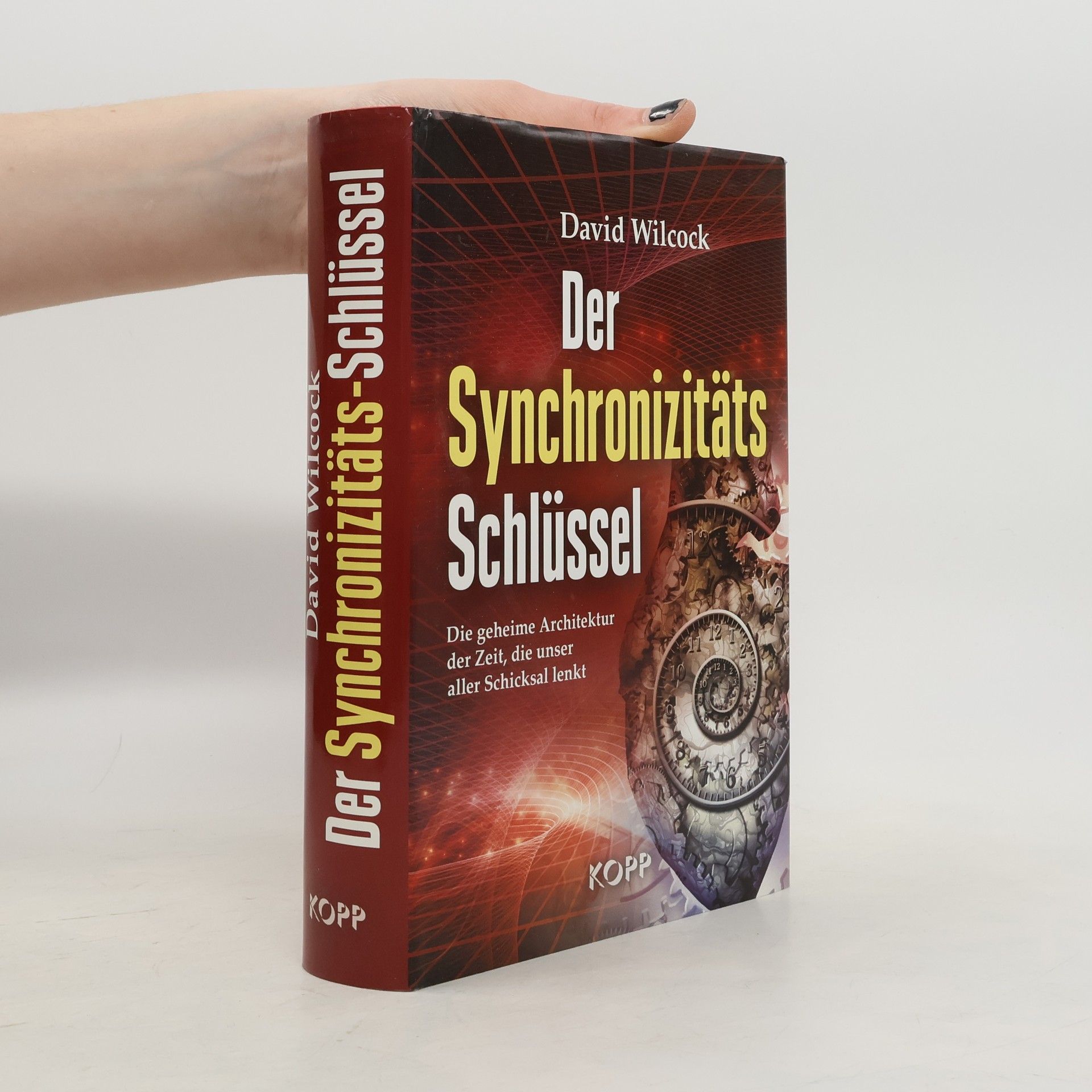 David Wilcock Der Synchronizitäts-Schlüssel