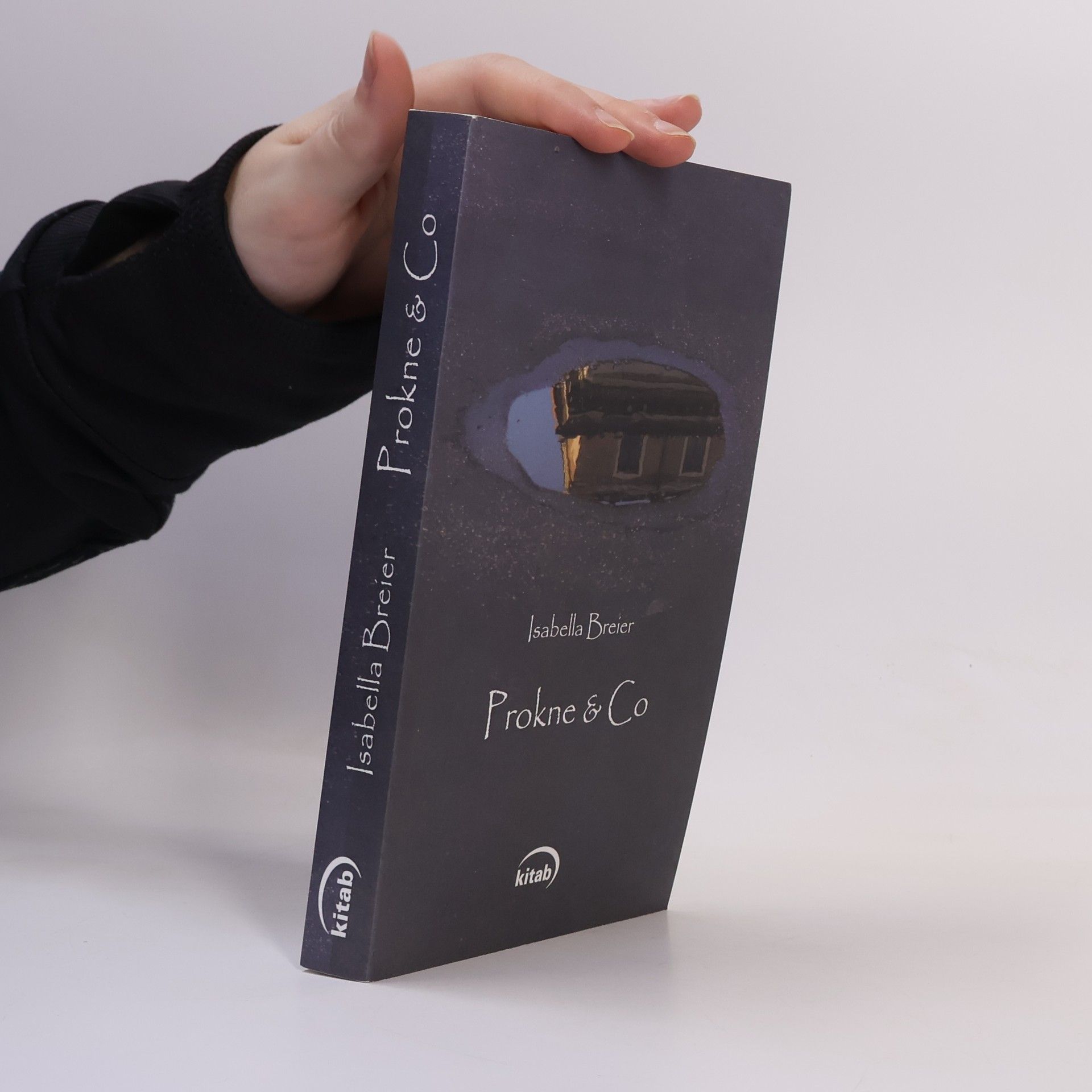 Isabella Breier Prokne & Co