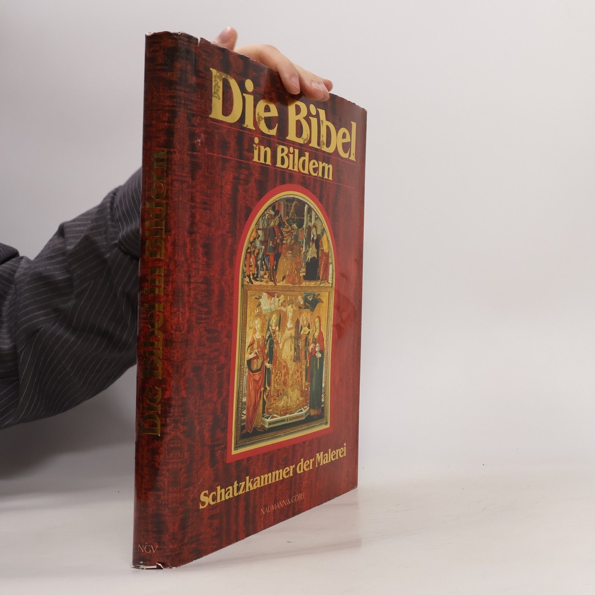 Various authors Die Bibel in Bildern. Schatzkammer der Malerei