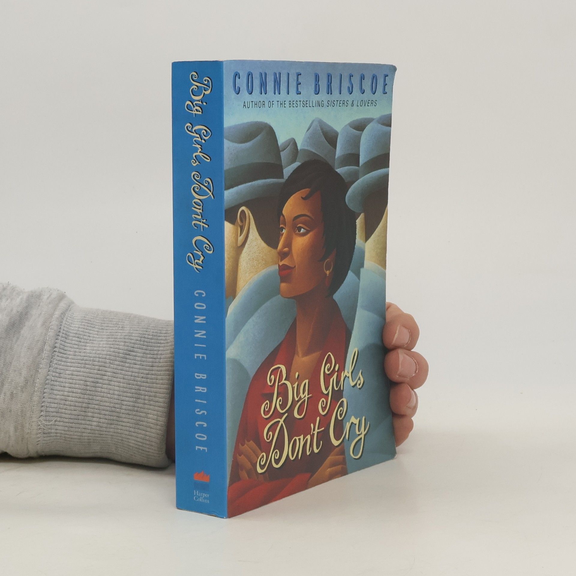 Connie Briscoe Big Girls Don’t Cry