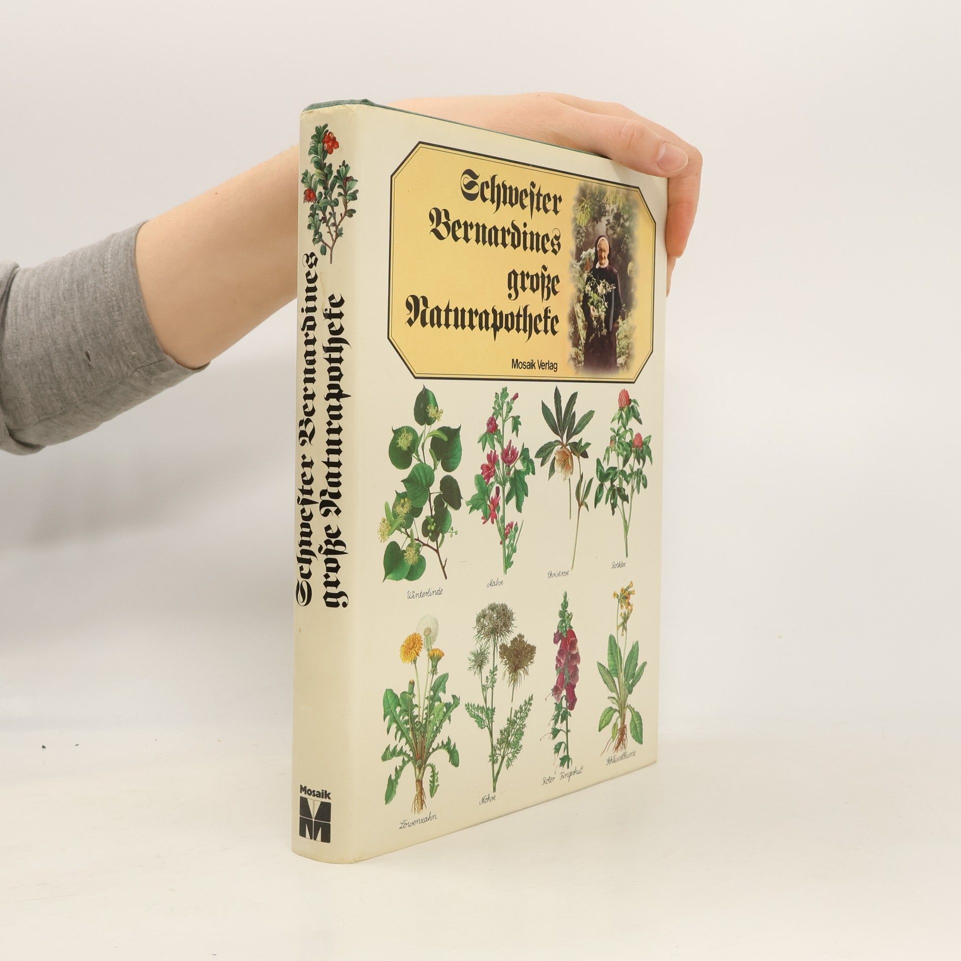 Kolektiv autorů Schwester Bernardines große Naturapotheke