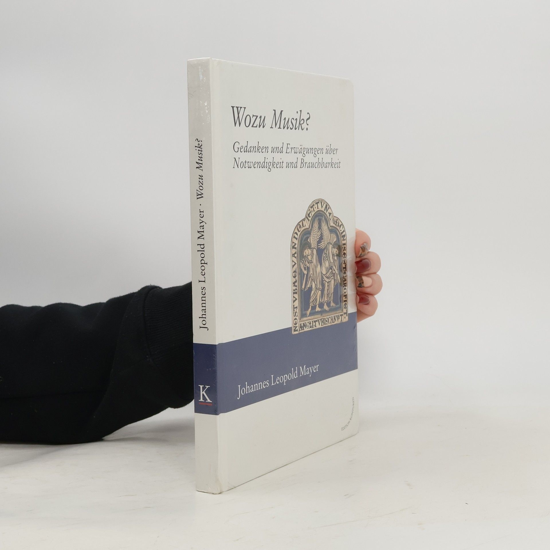 Johannes Mayer Wozu Musik?