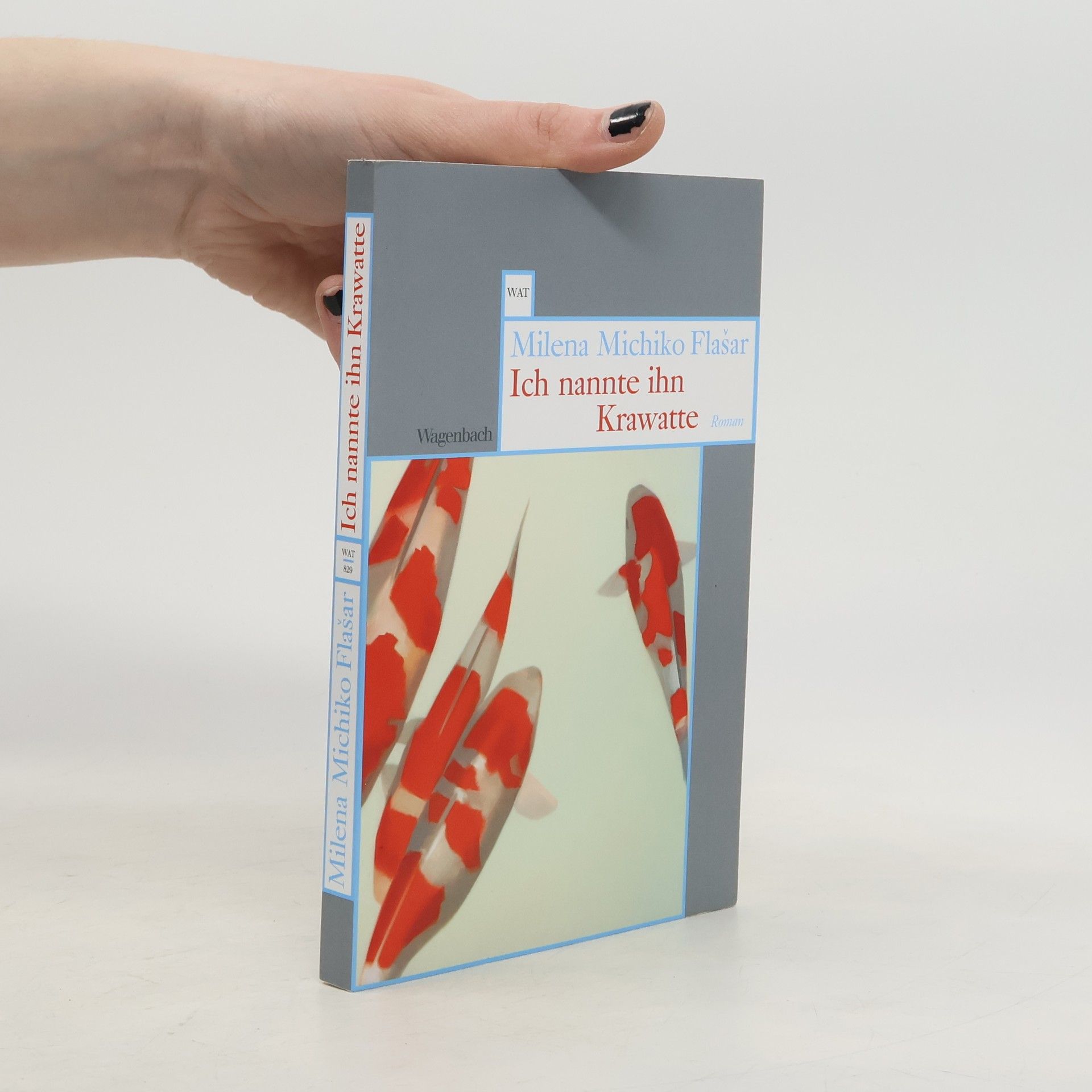Milena Michiko Flašar Ich nannte ihn Krawatte