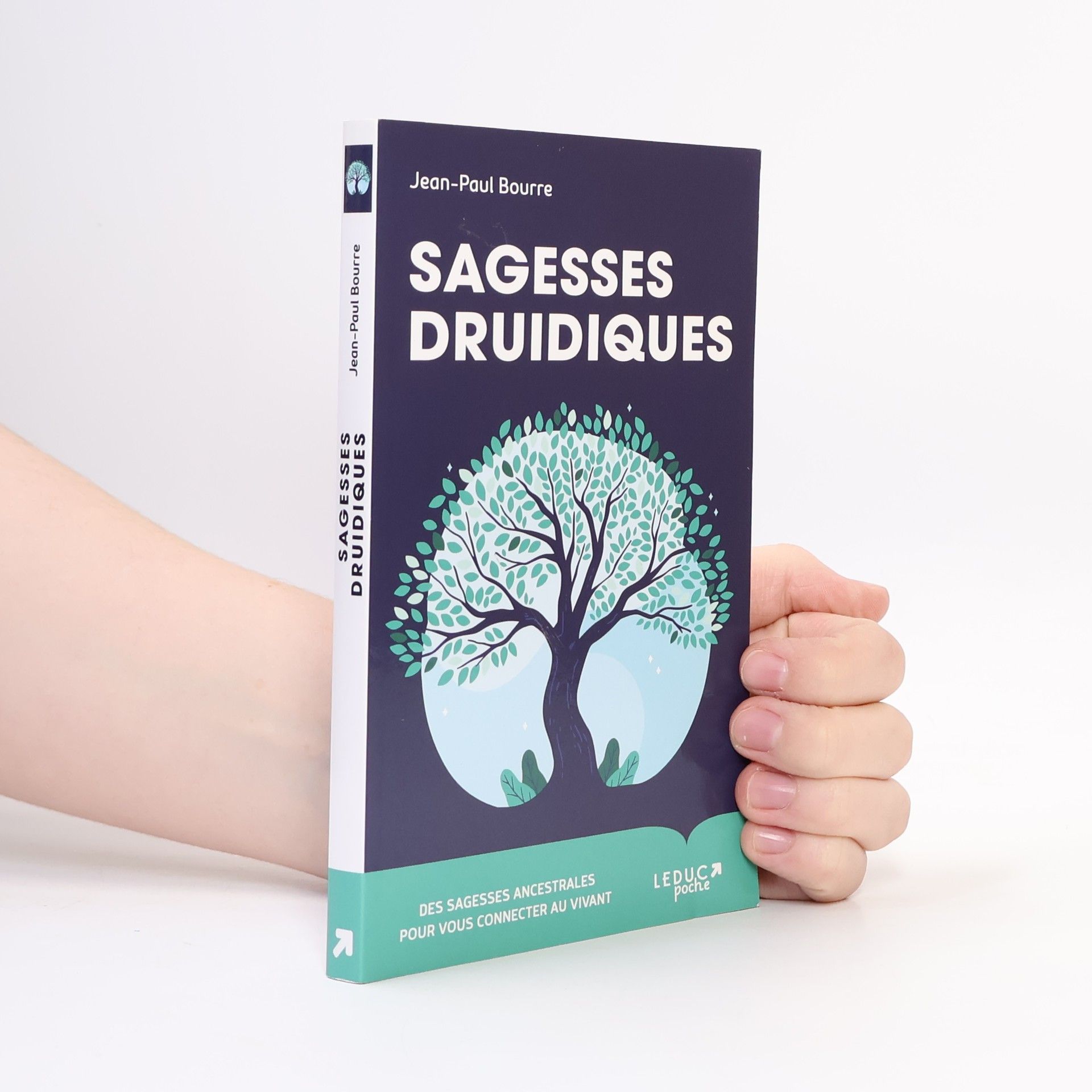 Jean Paul Bourre Sagesses druidiques