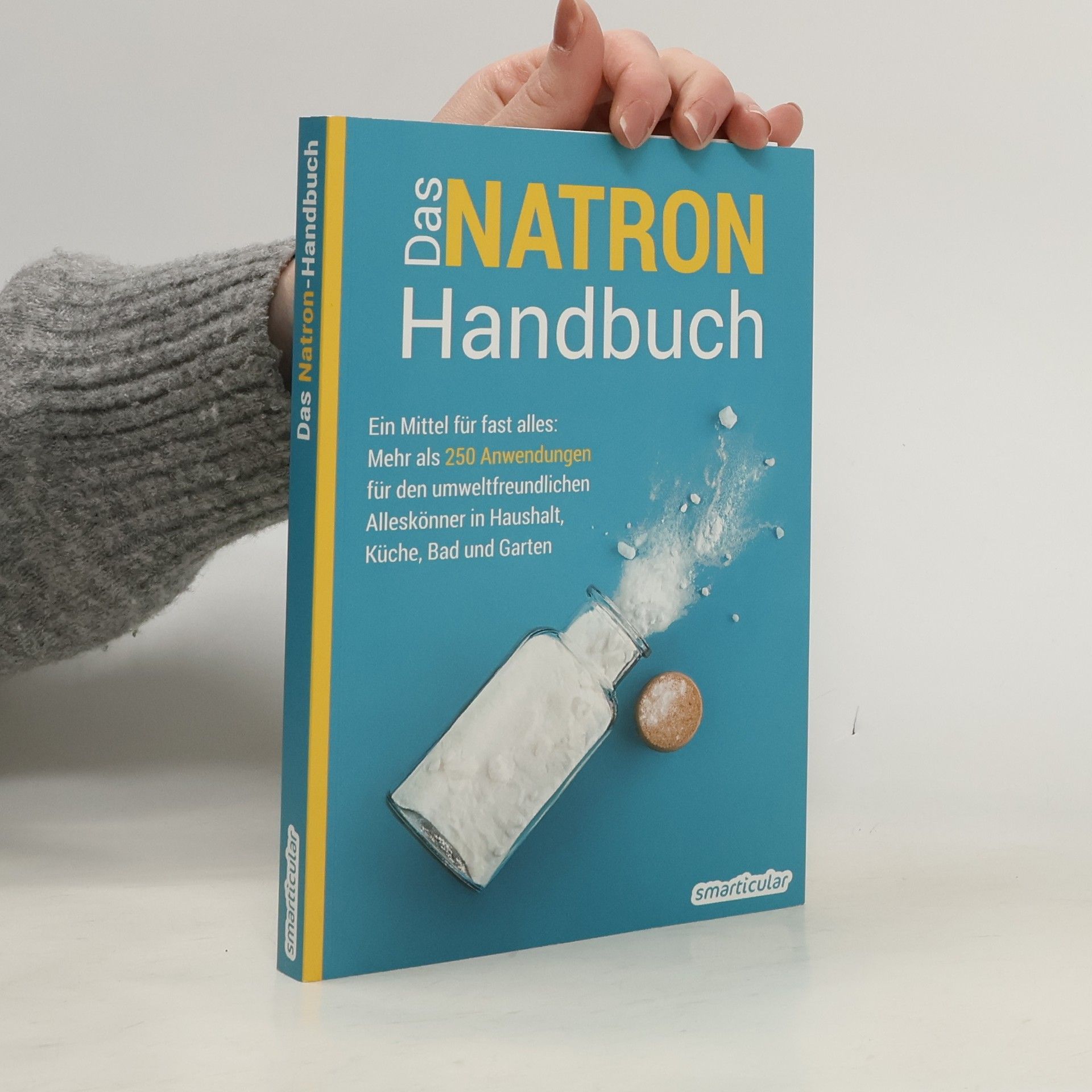 Collectif d'auteurs Das Natron-Handbuch