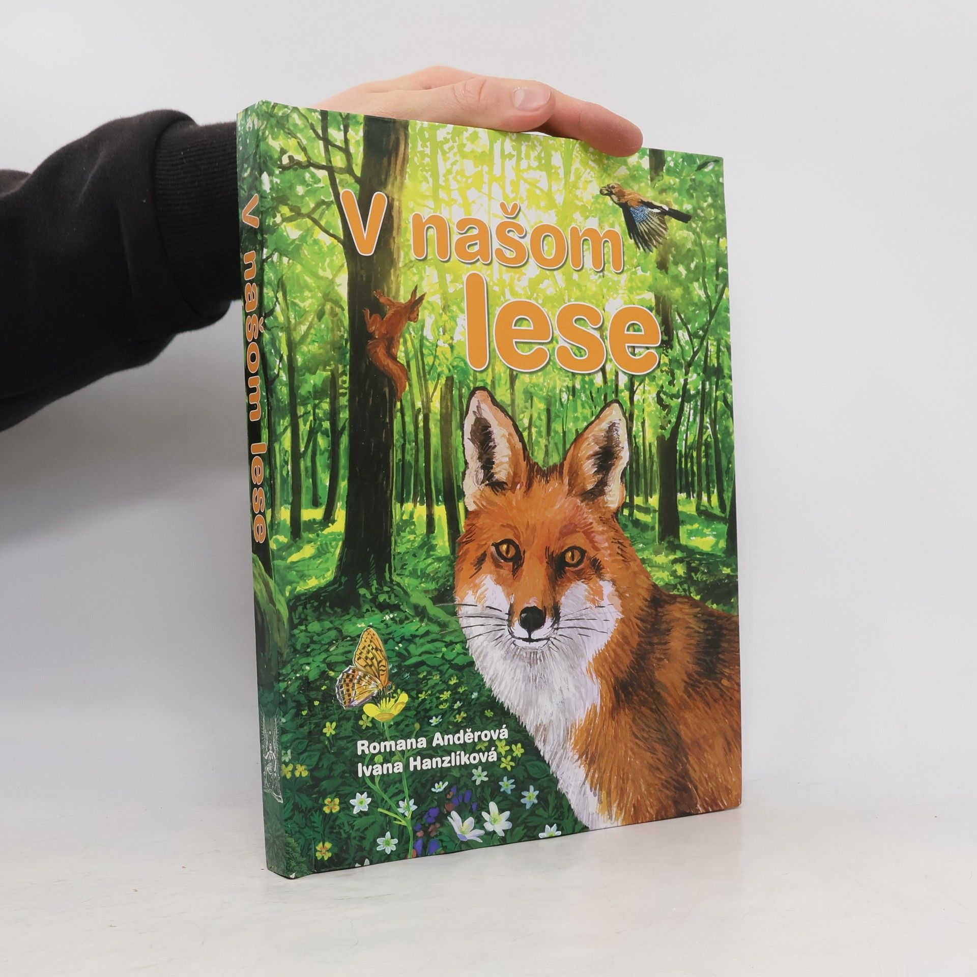 Romana Anděrová V našom lese : [pomôcka na vyučovanie pre 1. stupeň základných škôl