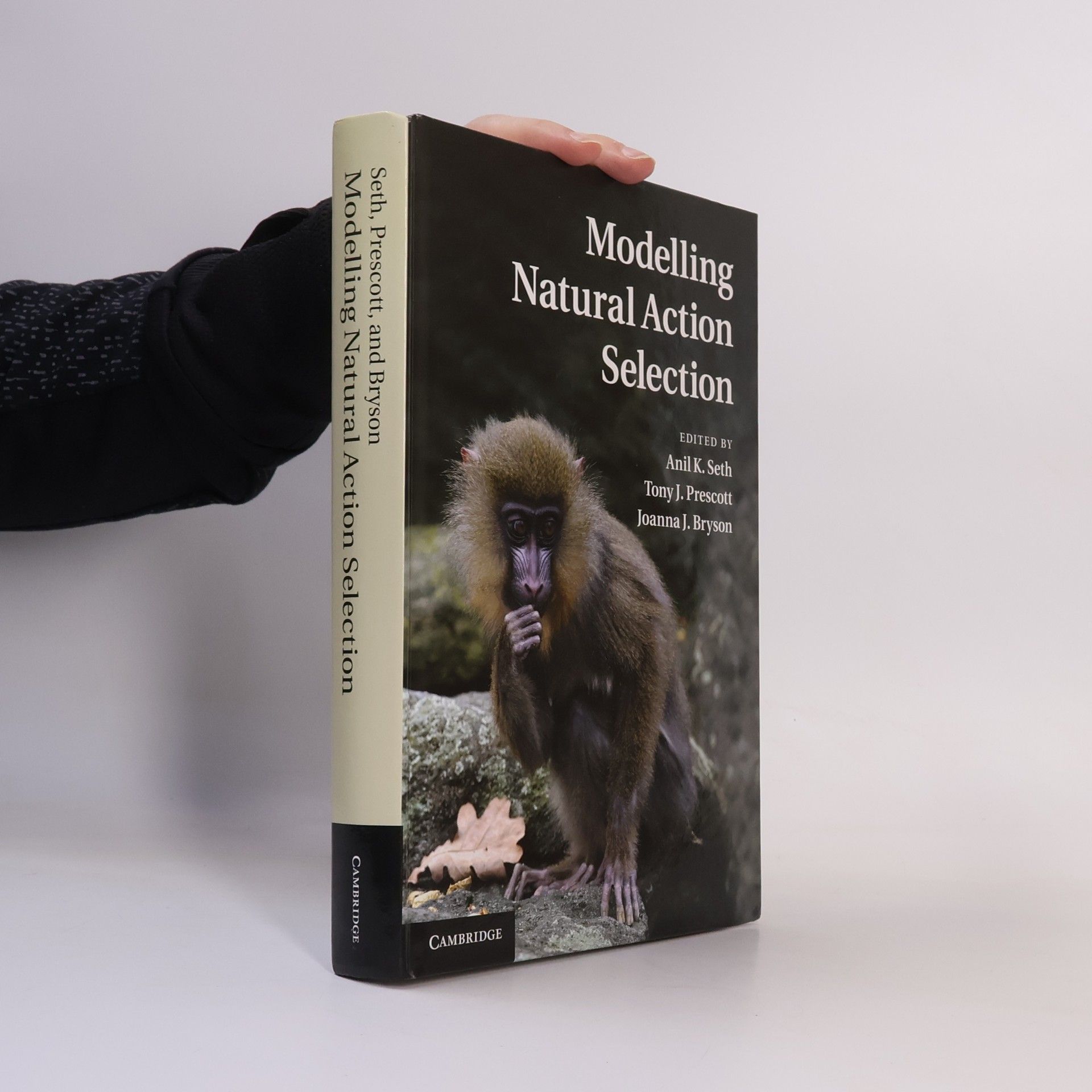 Anil K Seth Modelling Natural Action Selection