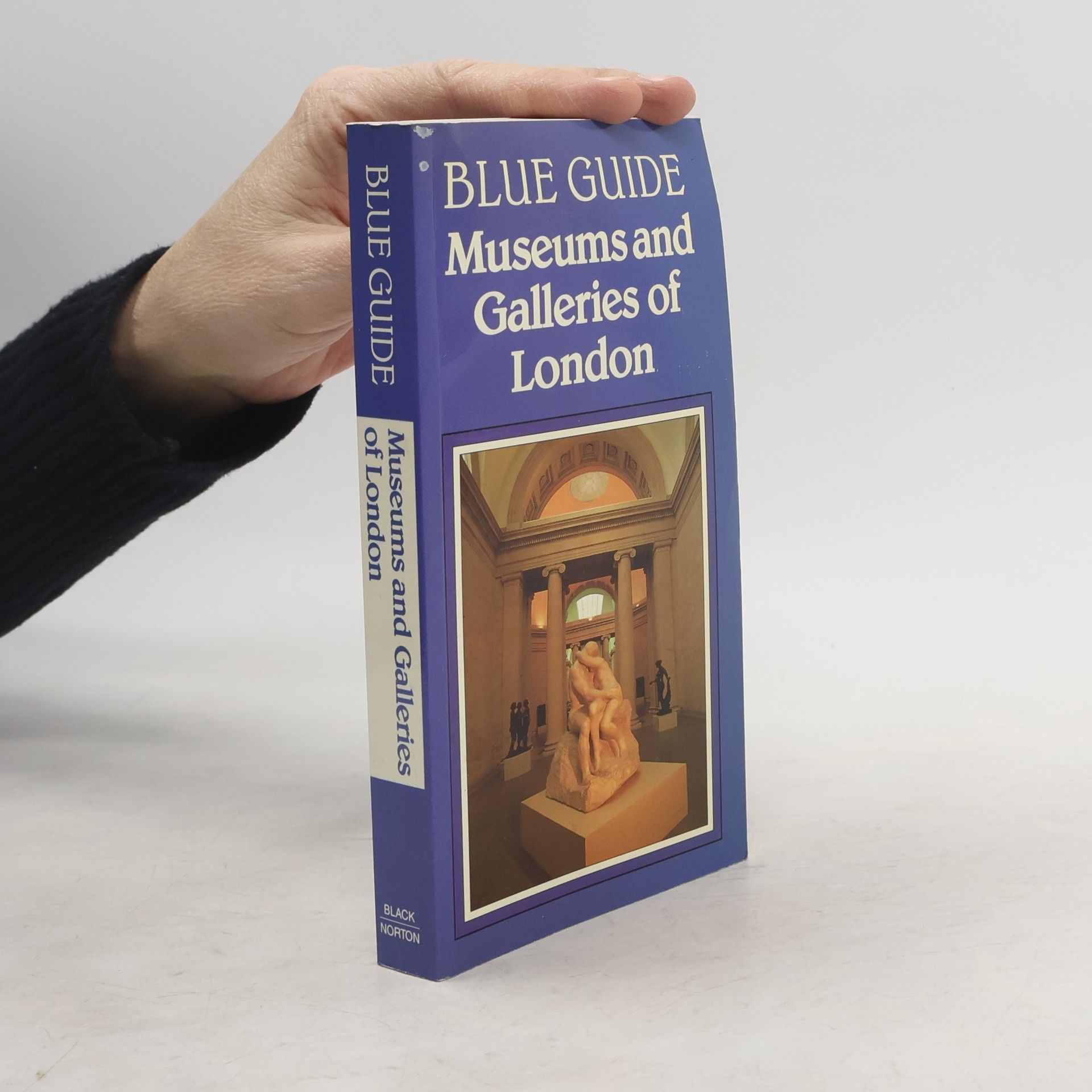 Malcolm Rogers Blue Guide: Museums and Galleries of London