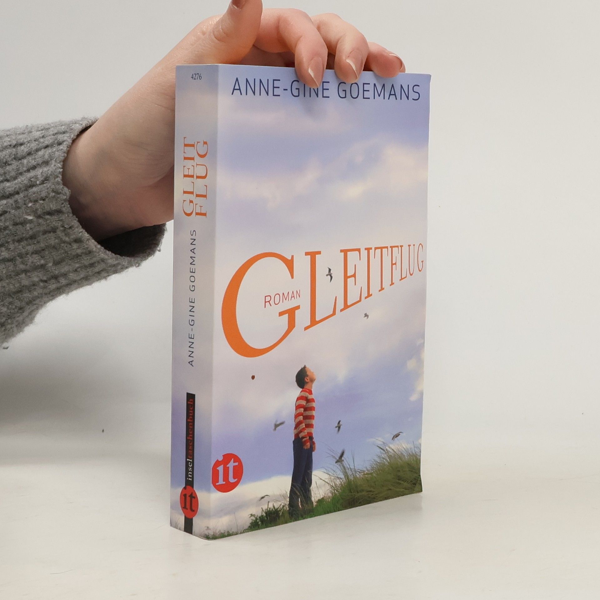 Anne Gine Goemans Gleitflug