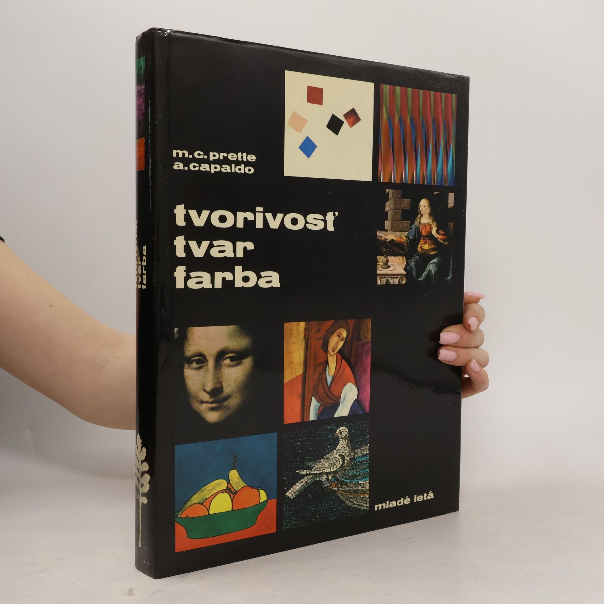 Maria Carla Prette Tvorivosť, tvar, farba