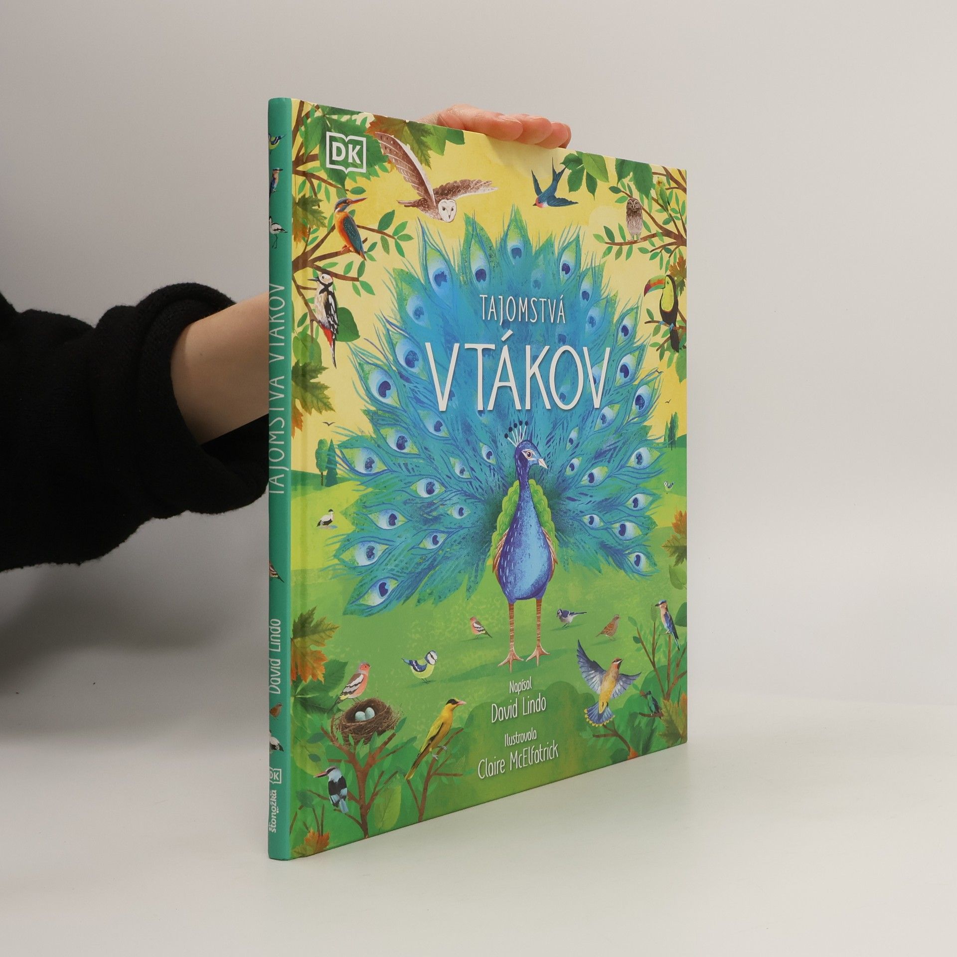 David Lindo Tajomstvá vtákov