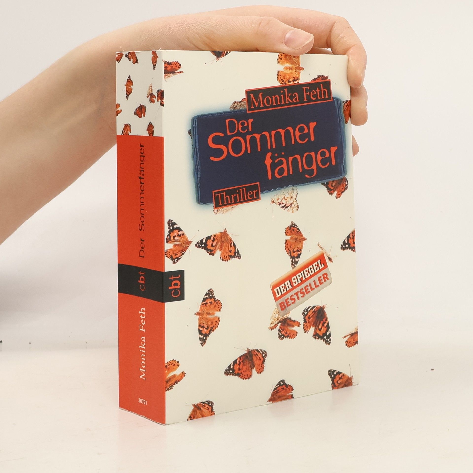 Monika Feth Der Sommerfänger