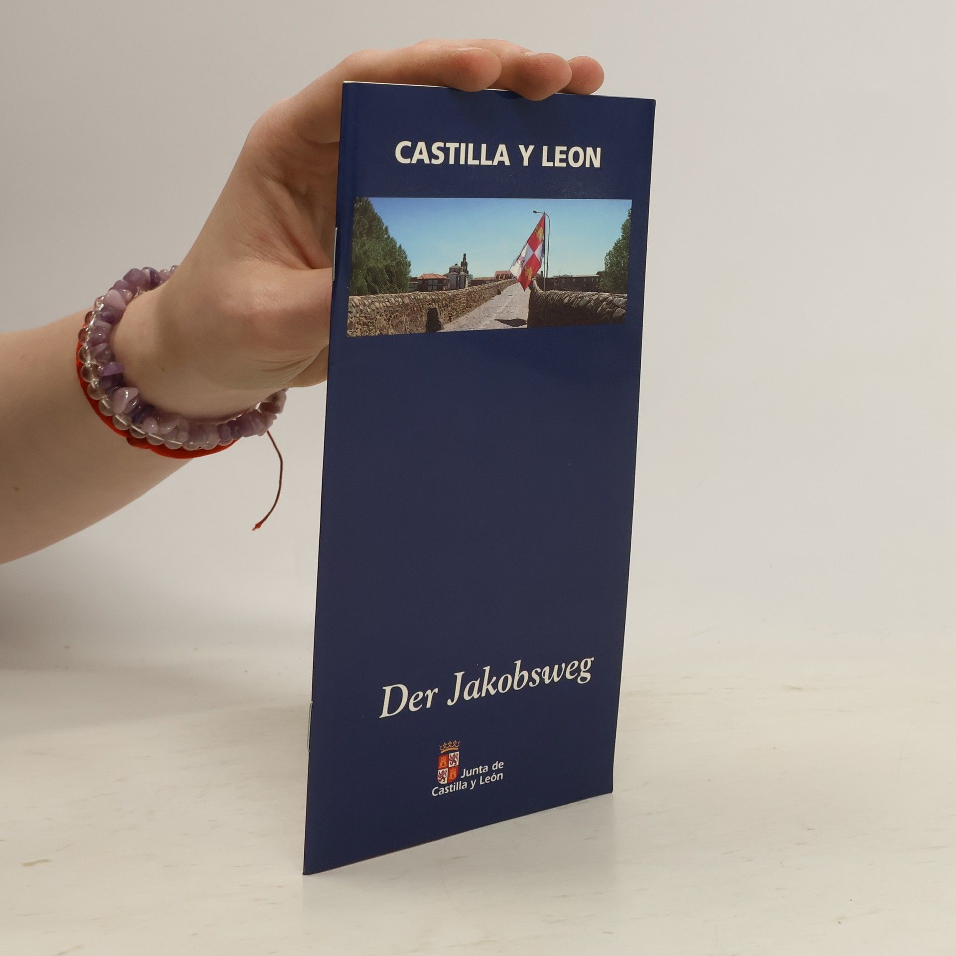 Autorenkollektiv Castilla y Leon. Der Jakobsweg