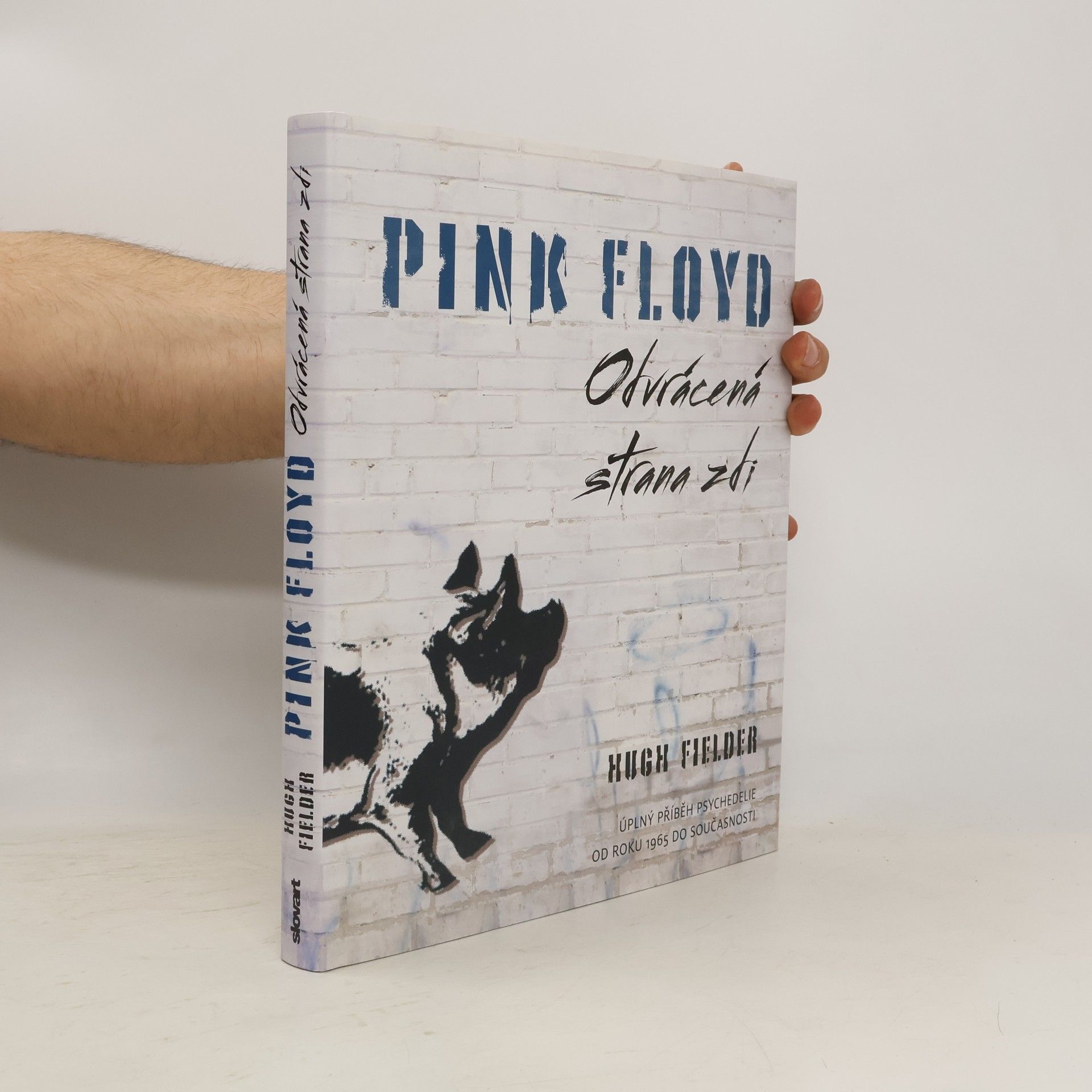 Hugh Fielder Pink Floyd : odvrácená strana zdi : úplný příběh psychedelie od roku 1965 do současnosti