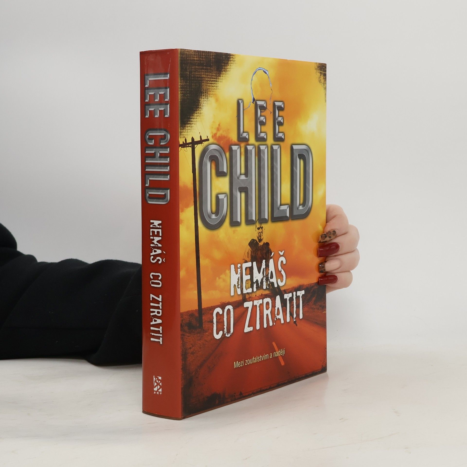 Lee Child Nemáš co ztratit