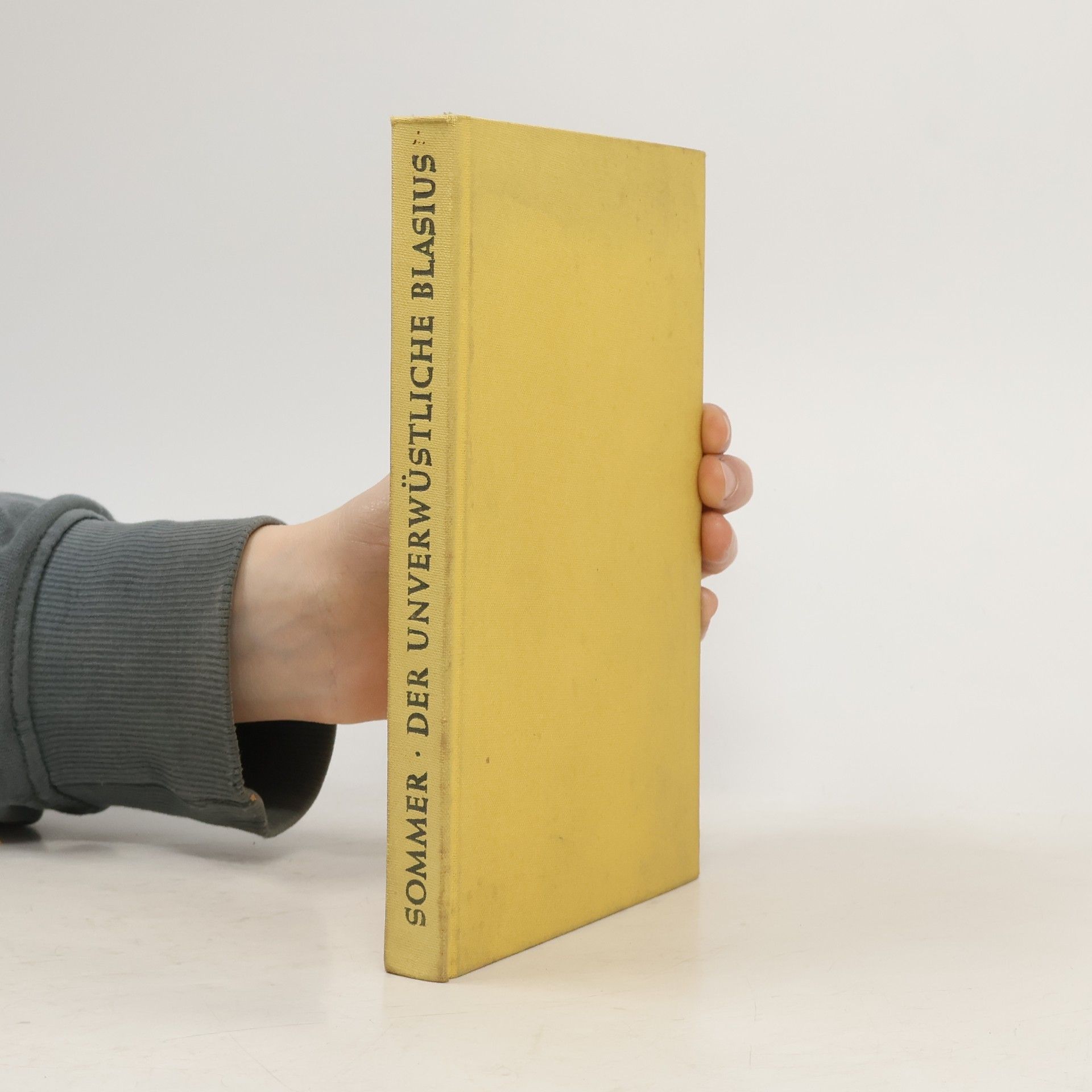 Siegfried Sommer Der unverwüstliche Blasius