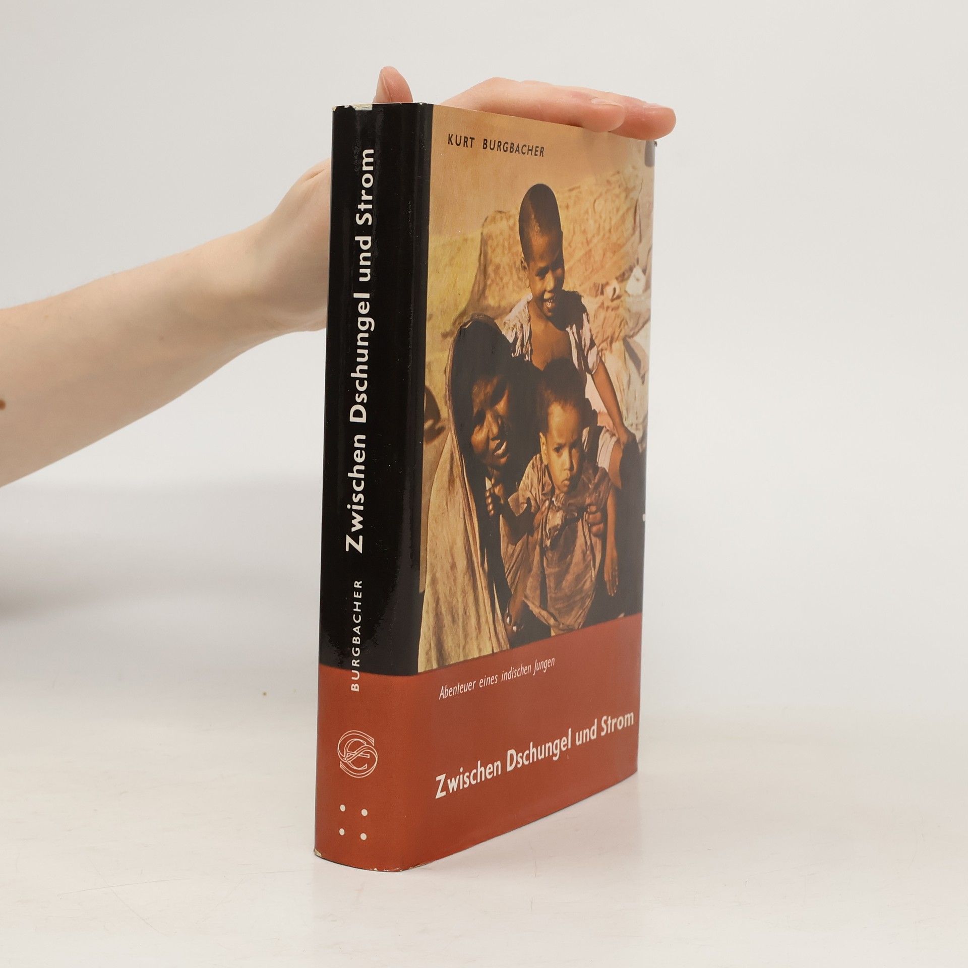 Zwischen Dschungel und Strom