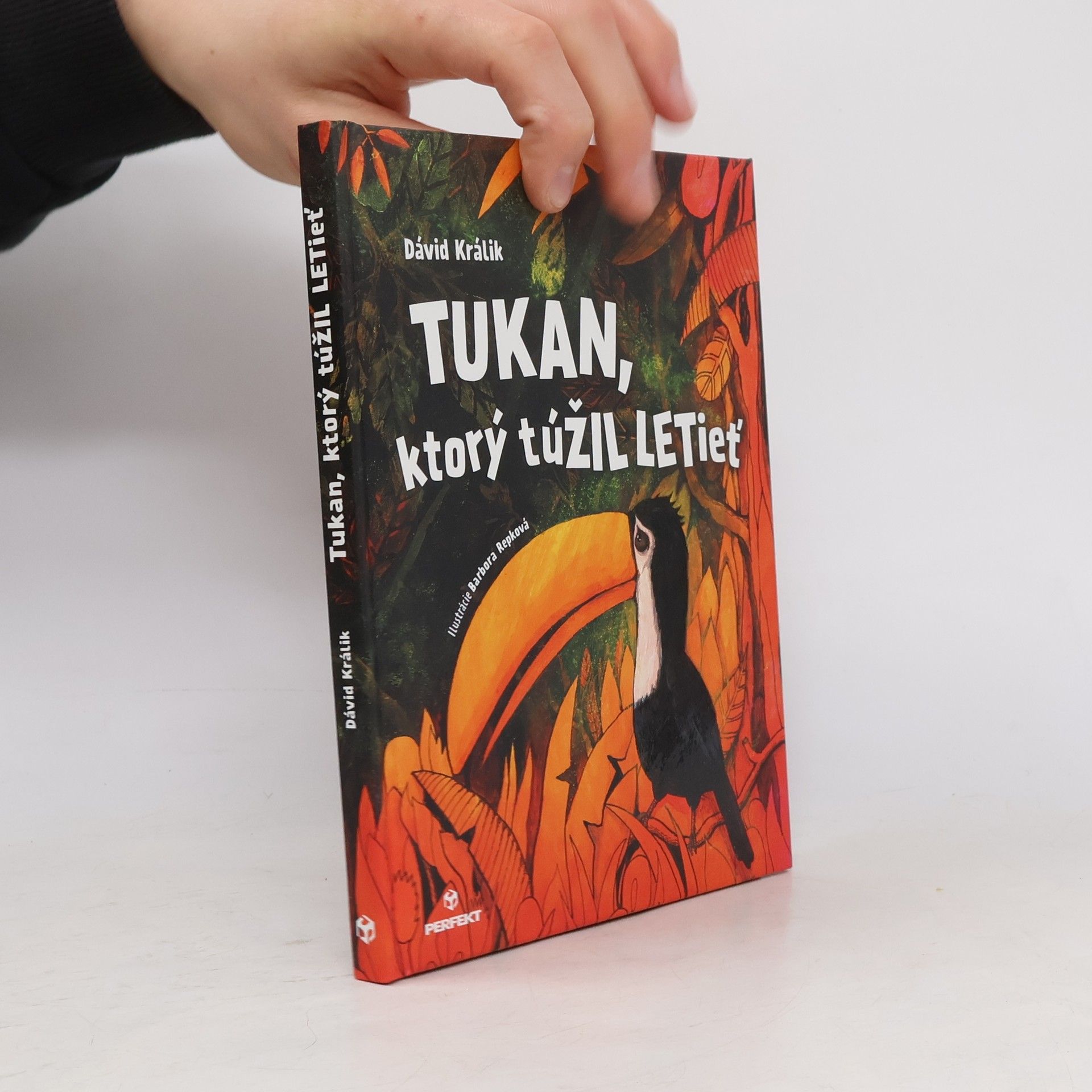 Dávid Králik Tukan, ktorý túžil letieť