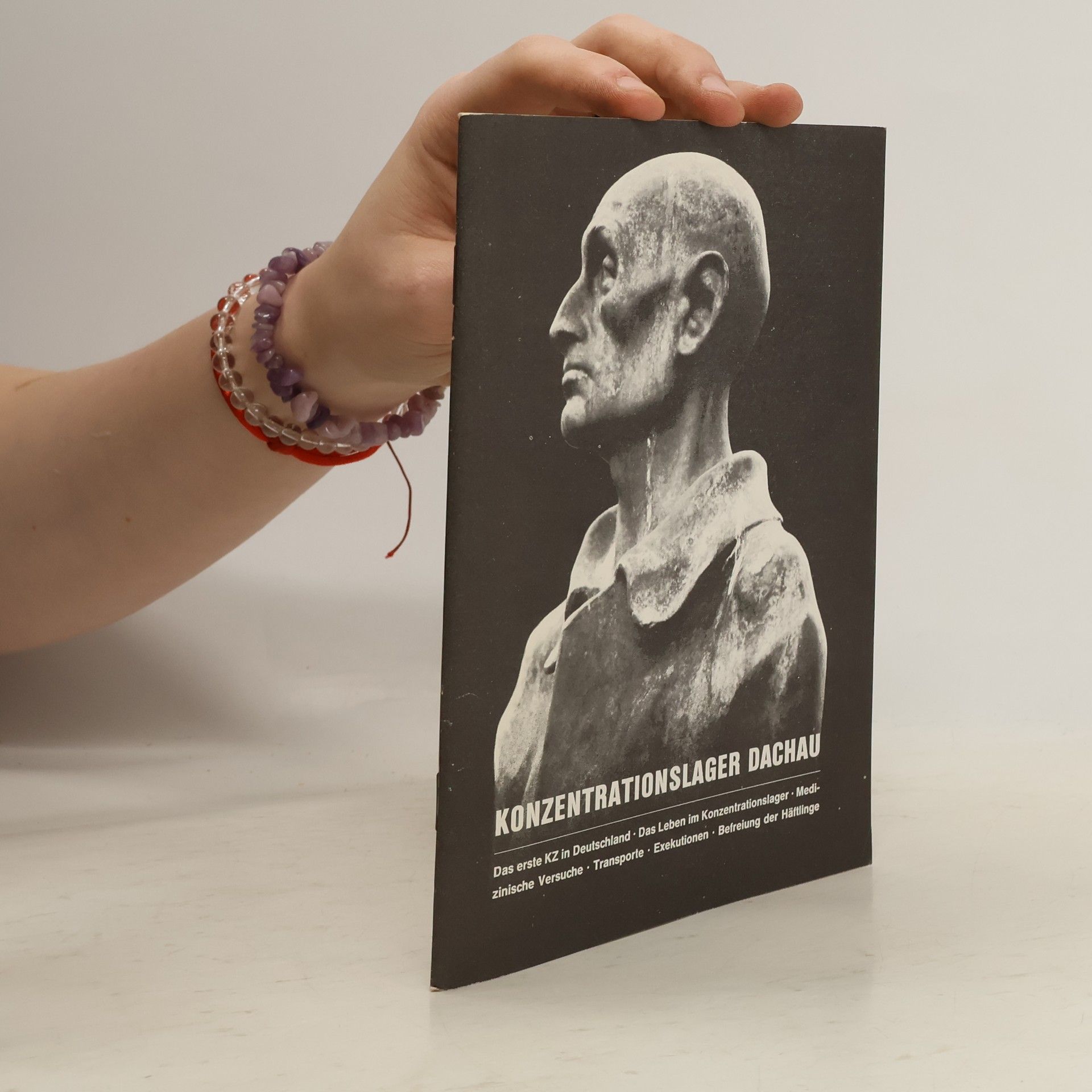 Kolektiv autorů Konzentrationslager Dachau