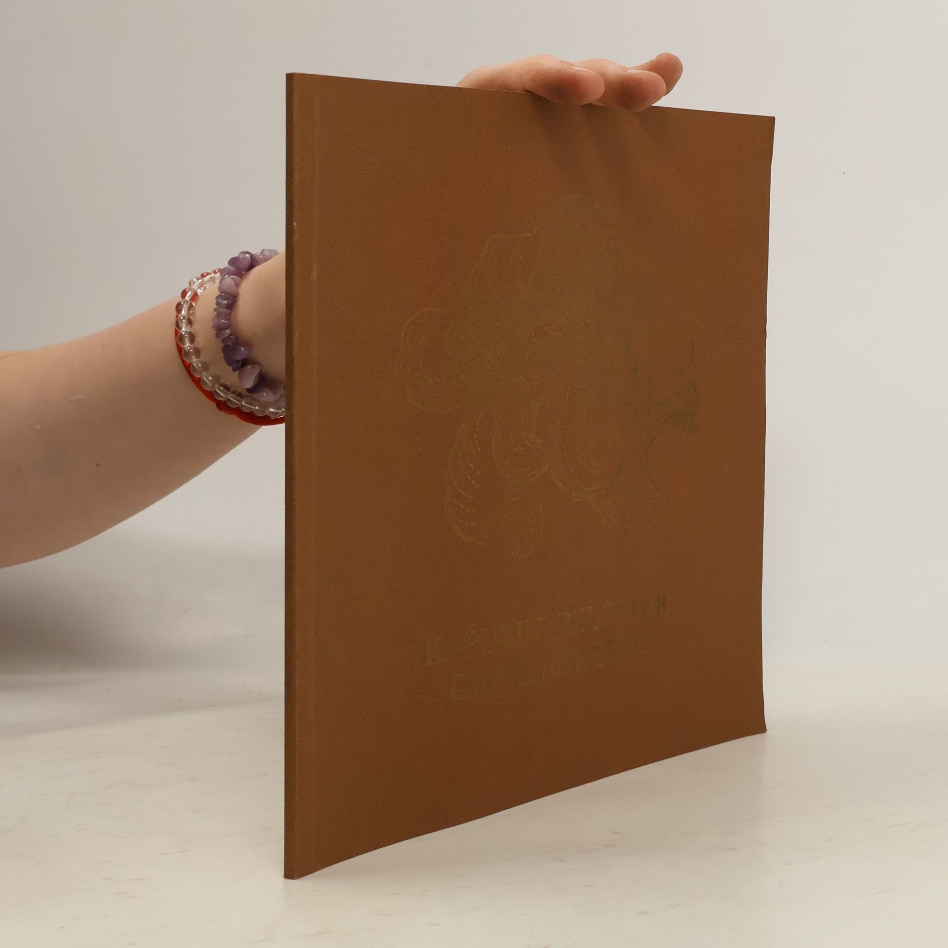 Various authors 250 Jahre Kapuzinerkloster Clemenswerth