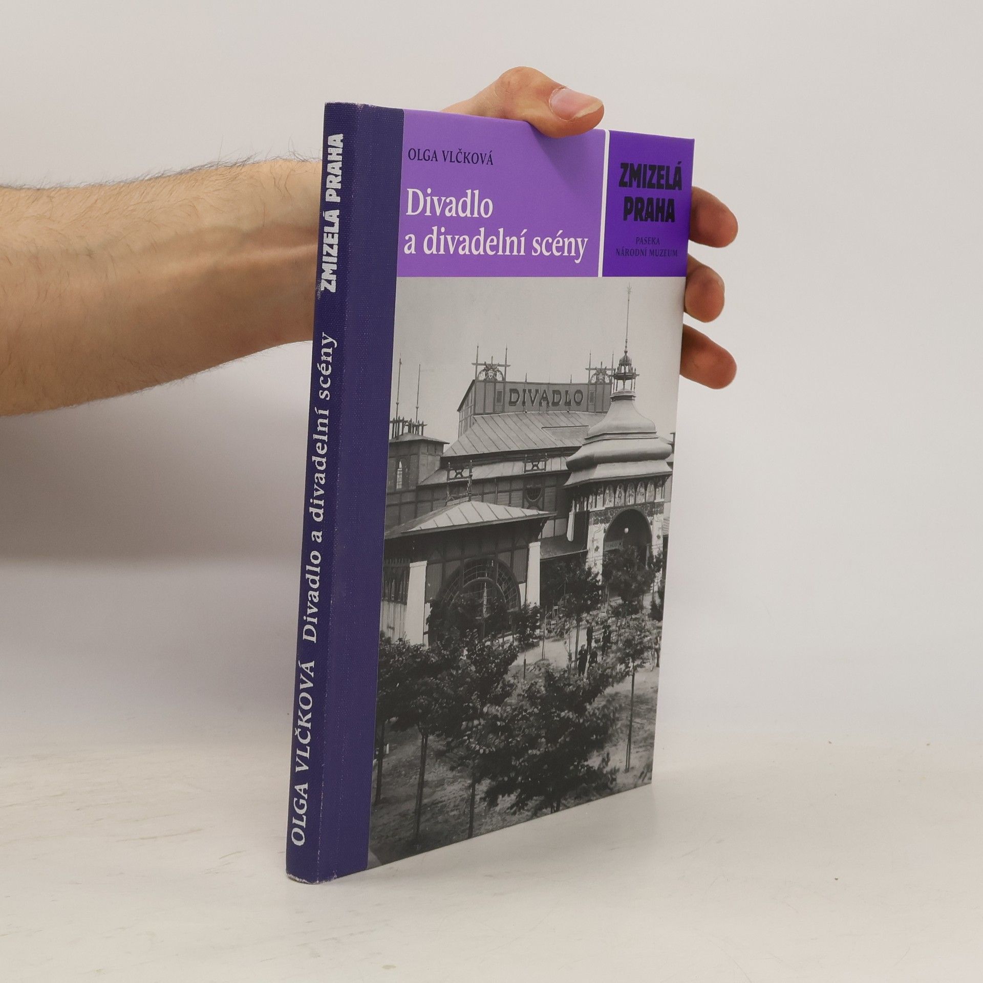 Olga Vlčková Divadlo a divadelní scény