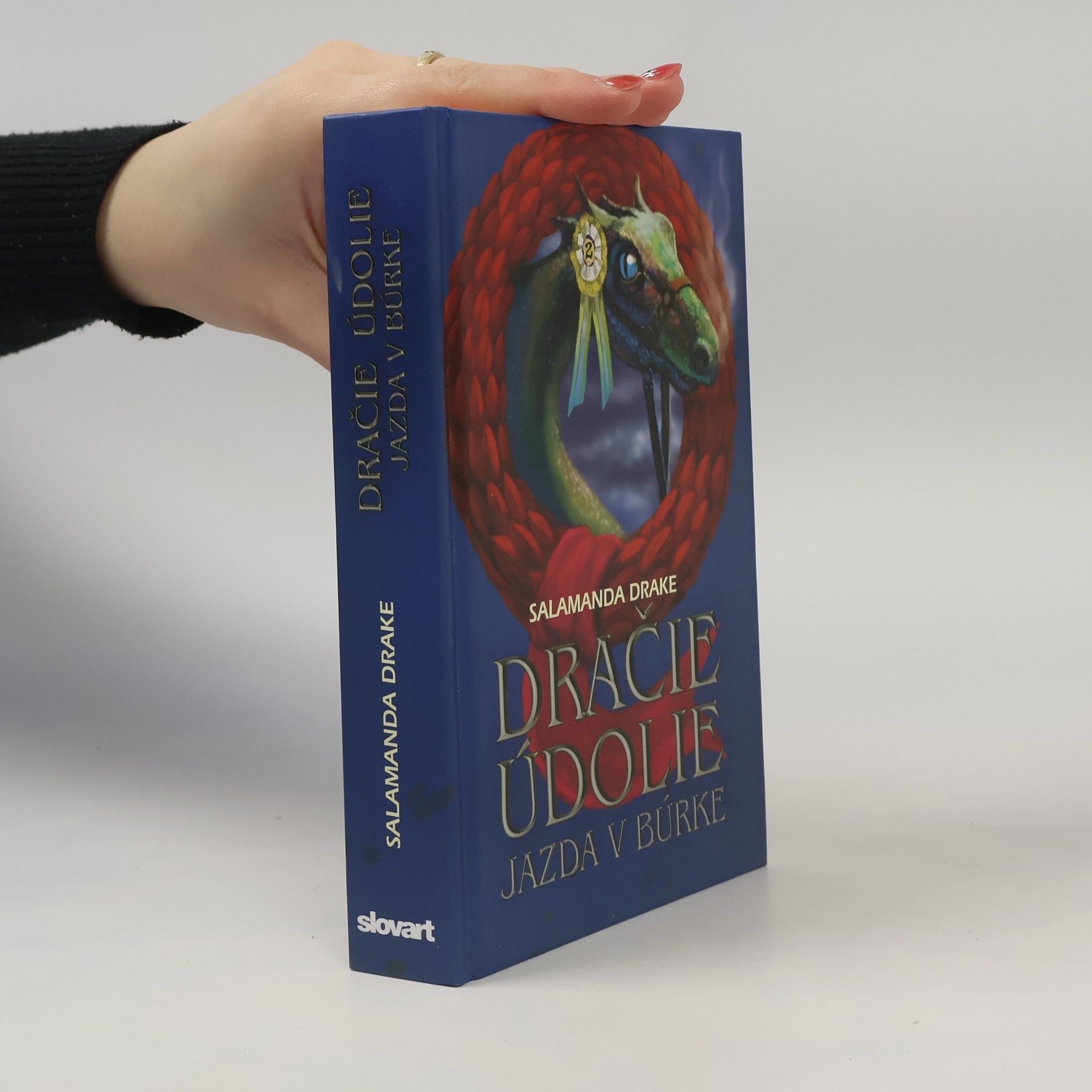 Steve Barlow Jazda v búrke