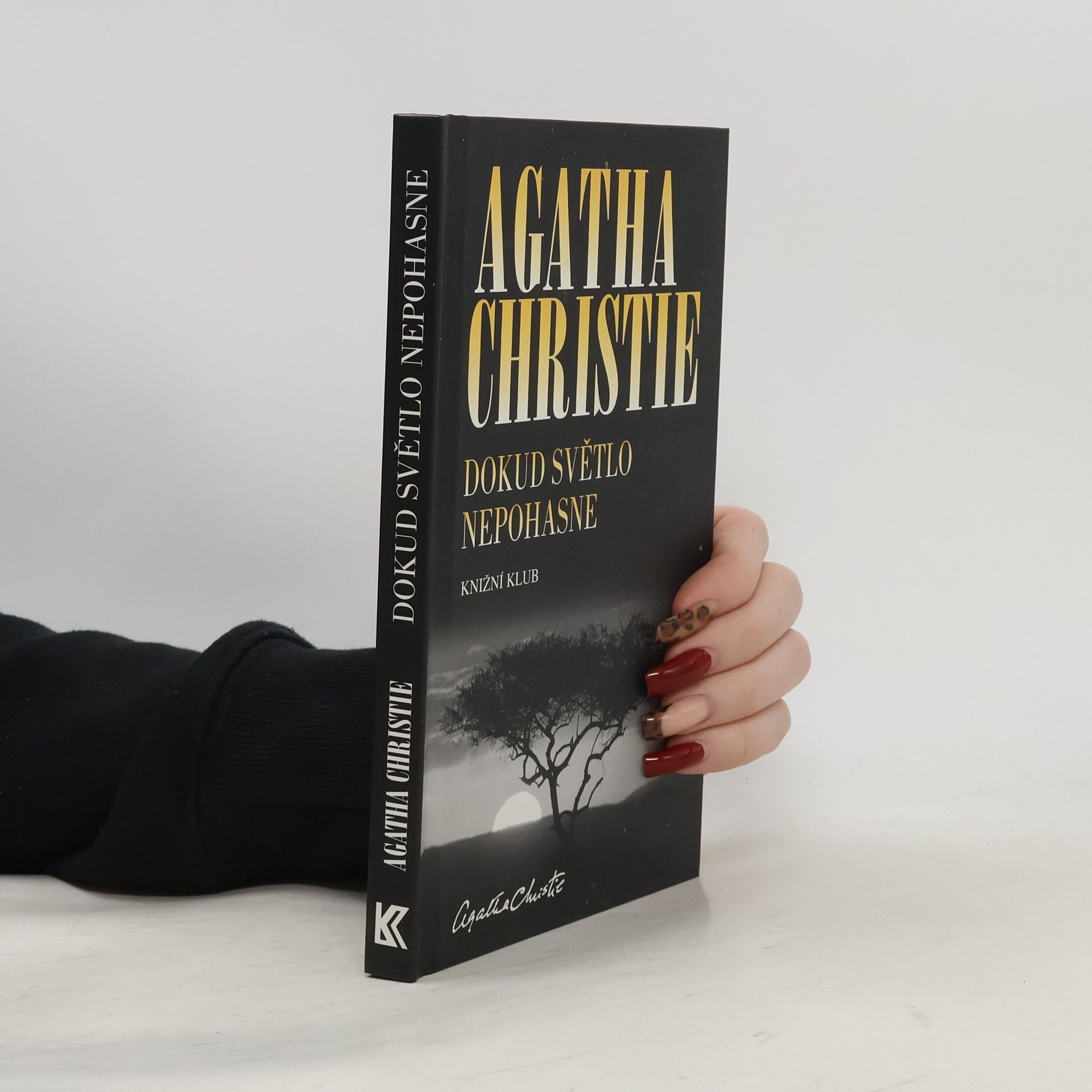 Agatha Christie Dokud světlo nepohasne
